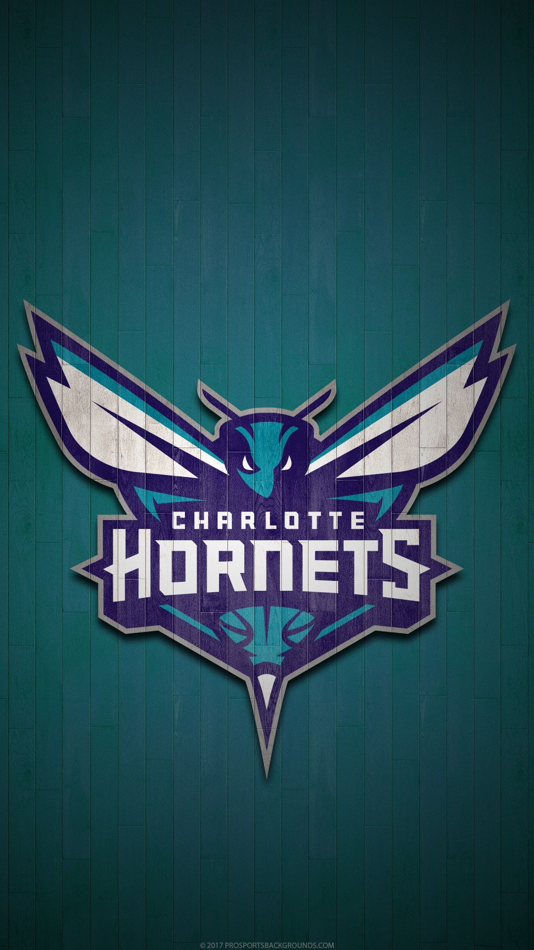Logo Charlotte Hornets NBA, basket americano, 1080x1920 Full HD Verticale, iPhone Plus