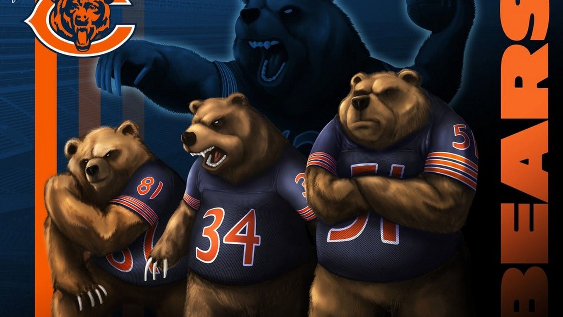 Orsi mascotte Chicago Bears, 1920x1080 Full HD, Desktop