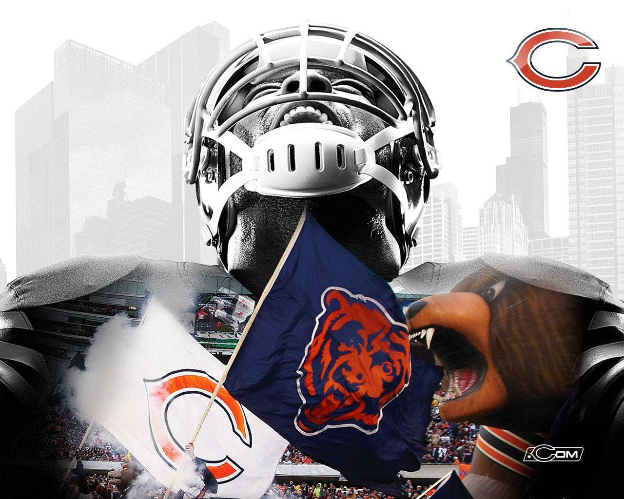Giocatore casco Chicago Bears, 1280x1024 HD, Desktop
