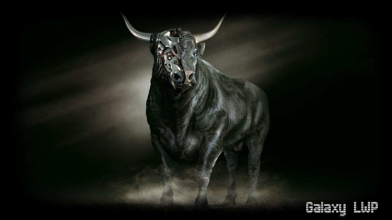 Logo Chicago Bulls sfondo nero, 1080x1920 Full HD Verticale, Galaxy Z