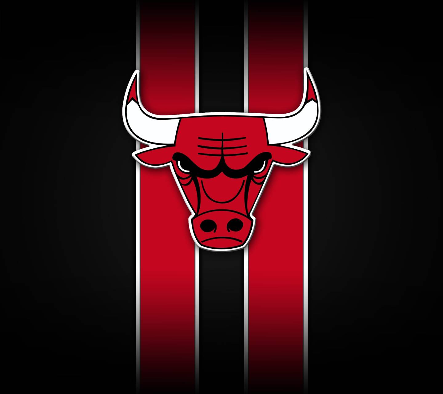 Logo Chicago Bulls toro, 1440x1280 720p, PC