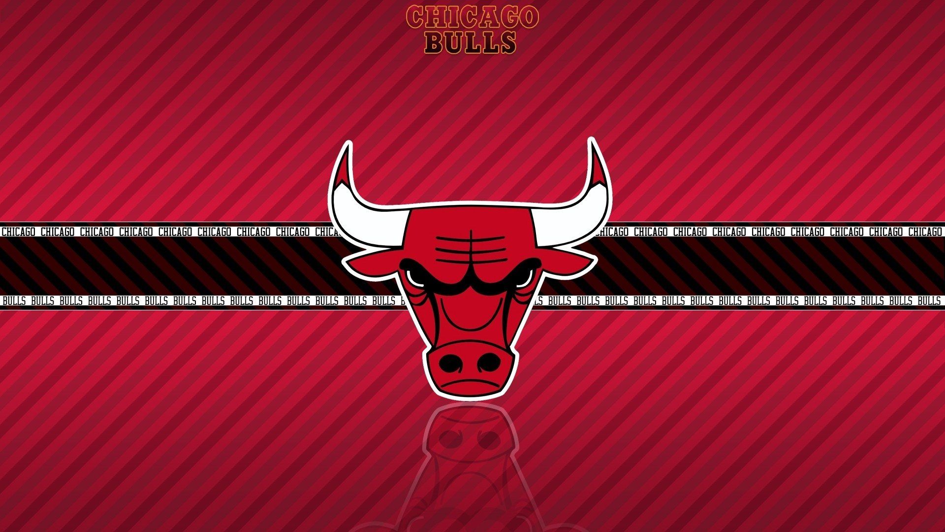 Logo Chicago Bulls testa toro, 1920x1080 1080p, Desktop