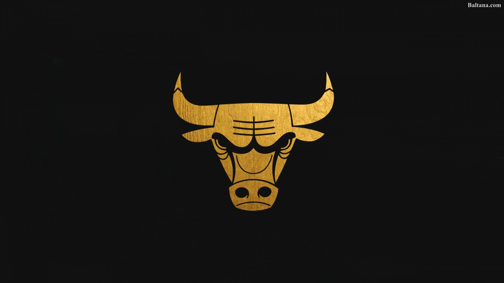 Logo Chicago Bulls dorato, 1920x1080 Full HD 1080p, Laptop