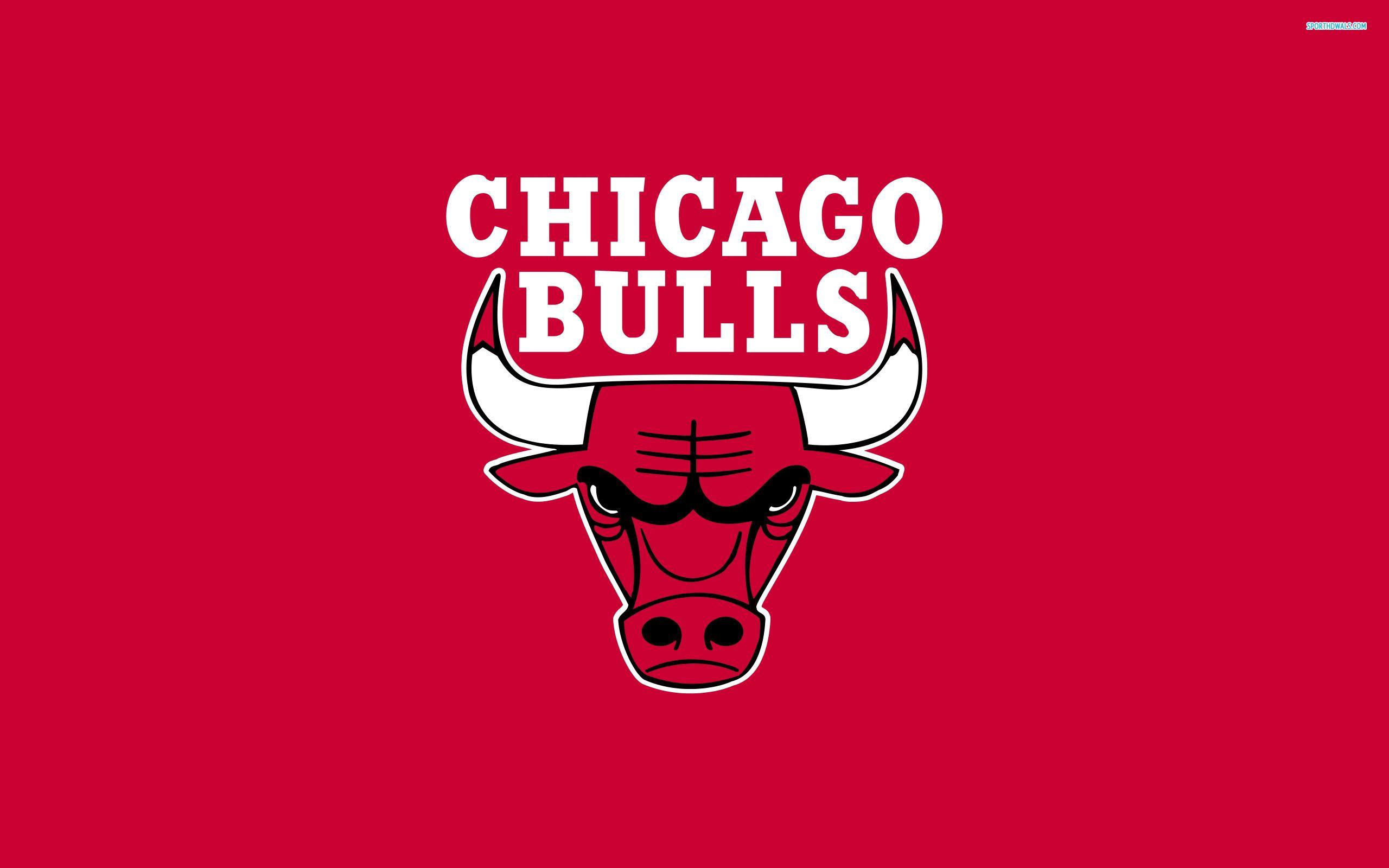 Logo Chicago Bulls rosso, 2560x1600 2K, MacBook Pro