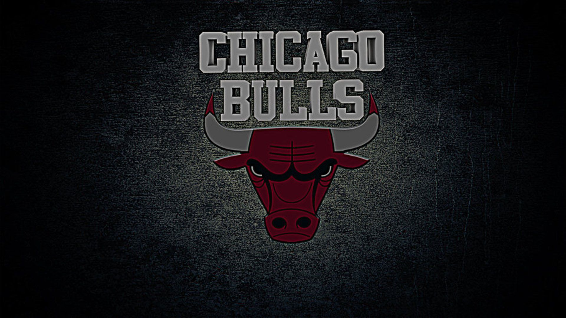 Logo Chicago Bulls toro, 1920x1079 Full HD 1080p, Laptop