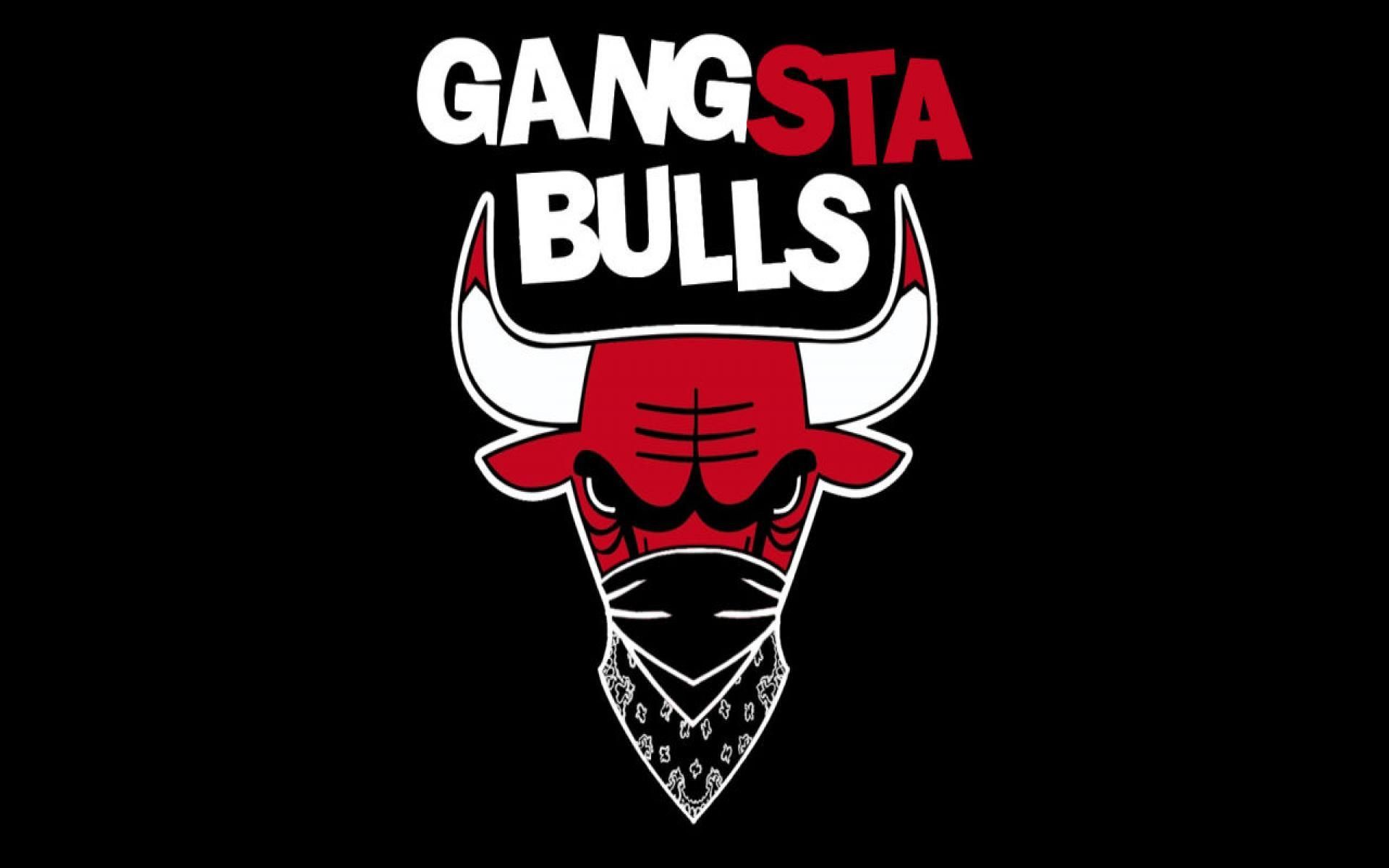 Logo Chicago Bulls con bandana, 1920x1200 WUXGA, Desktop