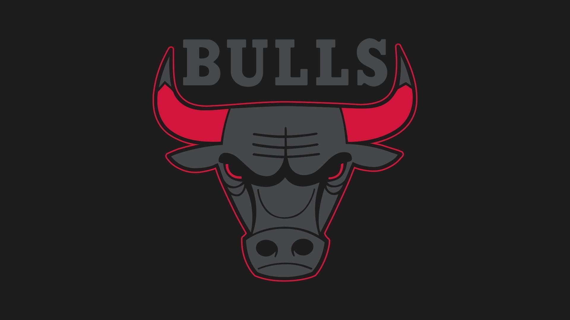 Logo Chicago Bulls testa toro, 1920x1080 1080p, PC Desktop