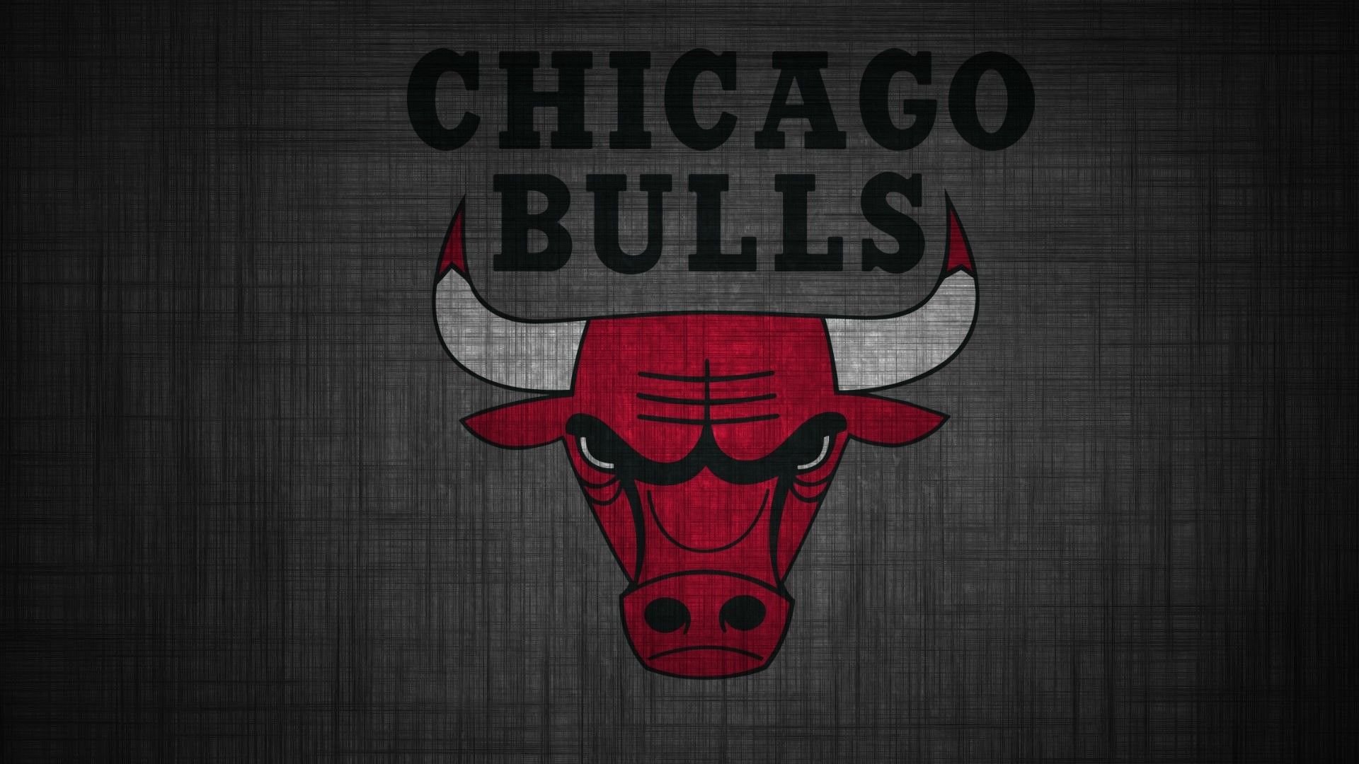 Logo Chicago Bulls, 1920x1080 Full HD, Laptop