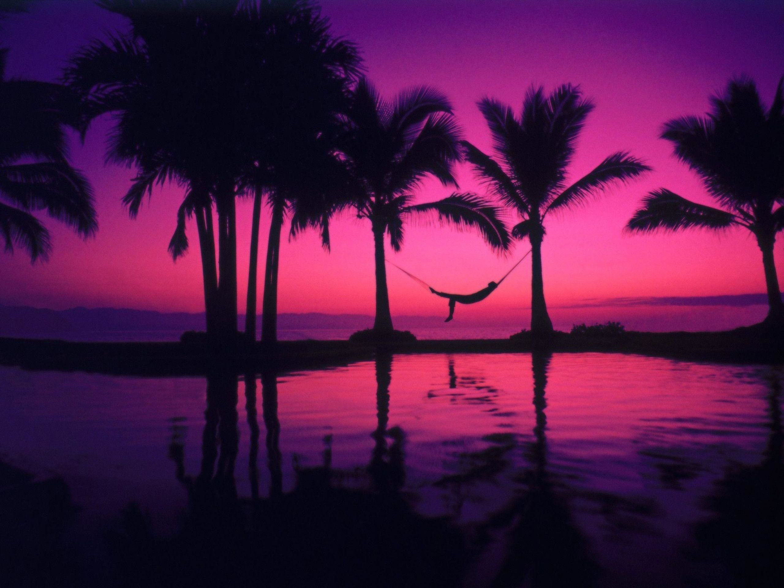 Palme silhouette tramonto rosa viola, 2560x1920 WQXGA, Monitor Gaming