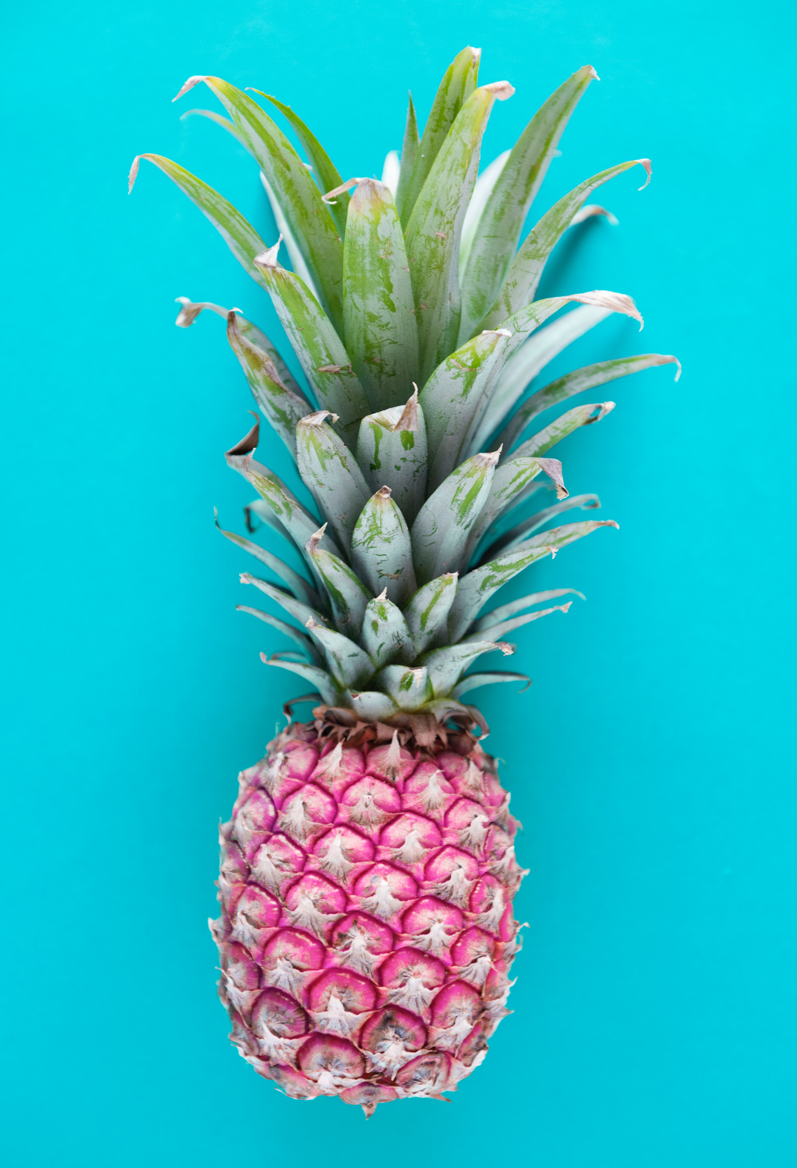 Ananas rosa su sfondo turchese, 2729x4000 Full HD Verticale, iPhone