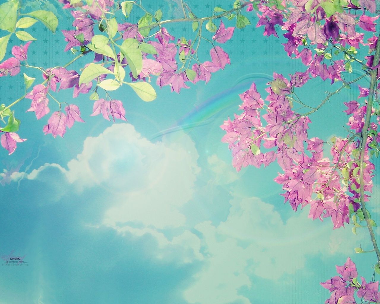 Fiori rosa su cielo turchese, 1280x1024 HD, Desktop