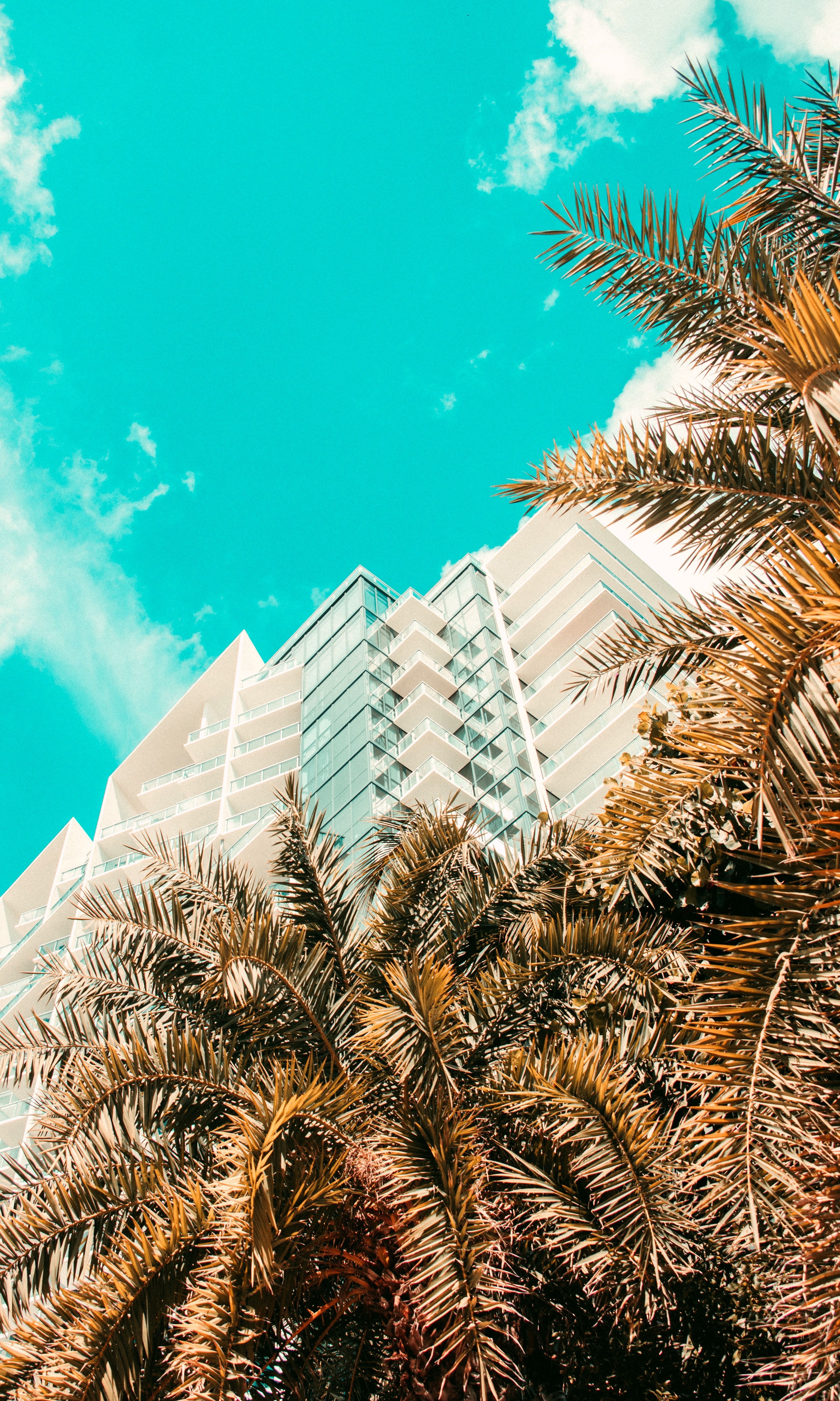 Hotel e palme, cielo turchese, 3600x6000 Full HD Verticale, Google Pixel