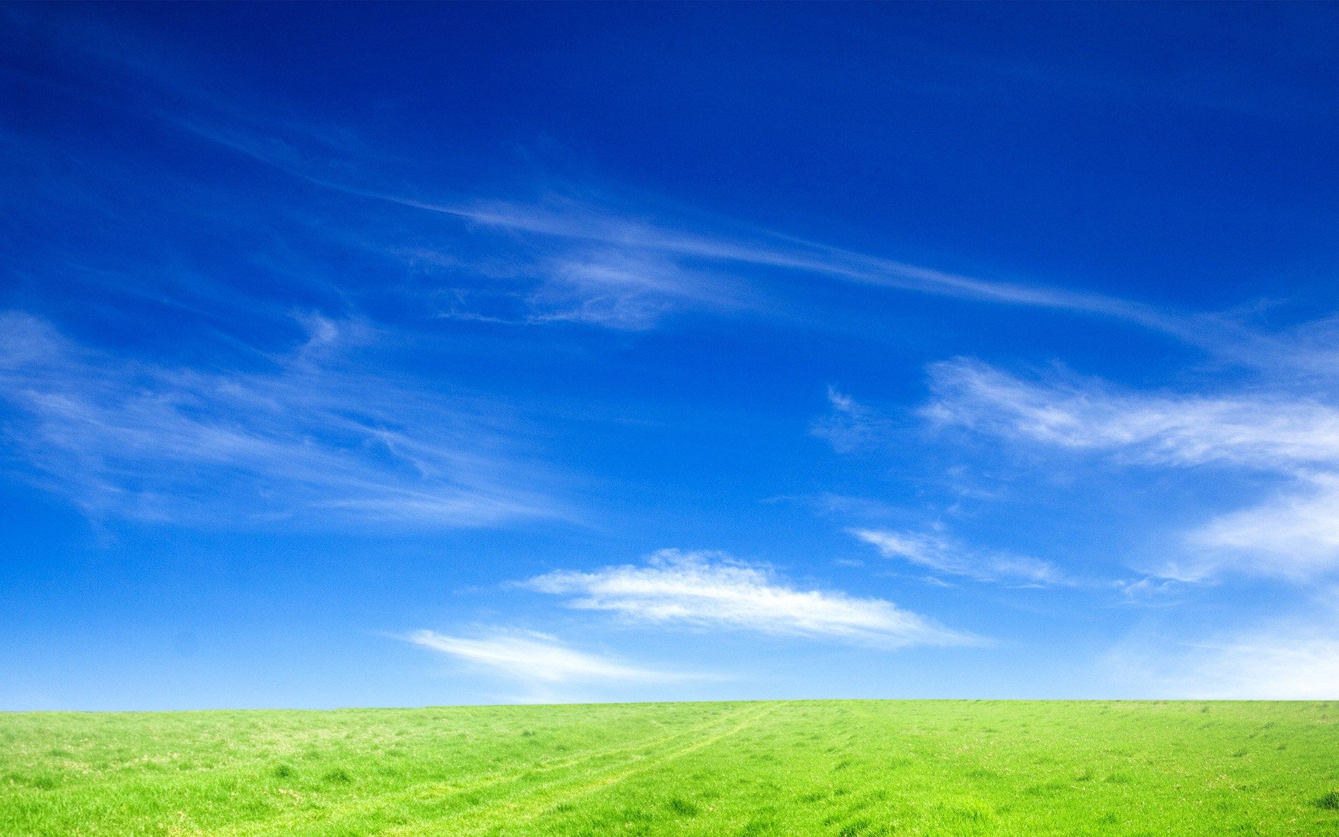 Cielo azzurro e prato verde, 1920x1200 WUXGA, PC Desktop