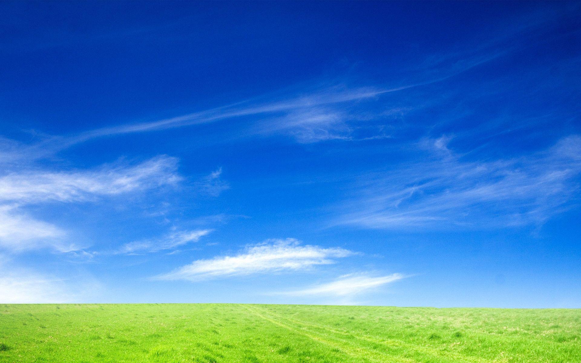 prato verde e cielo blu, 1920x1200 Full HD+, PC Desktop