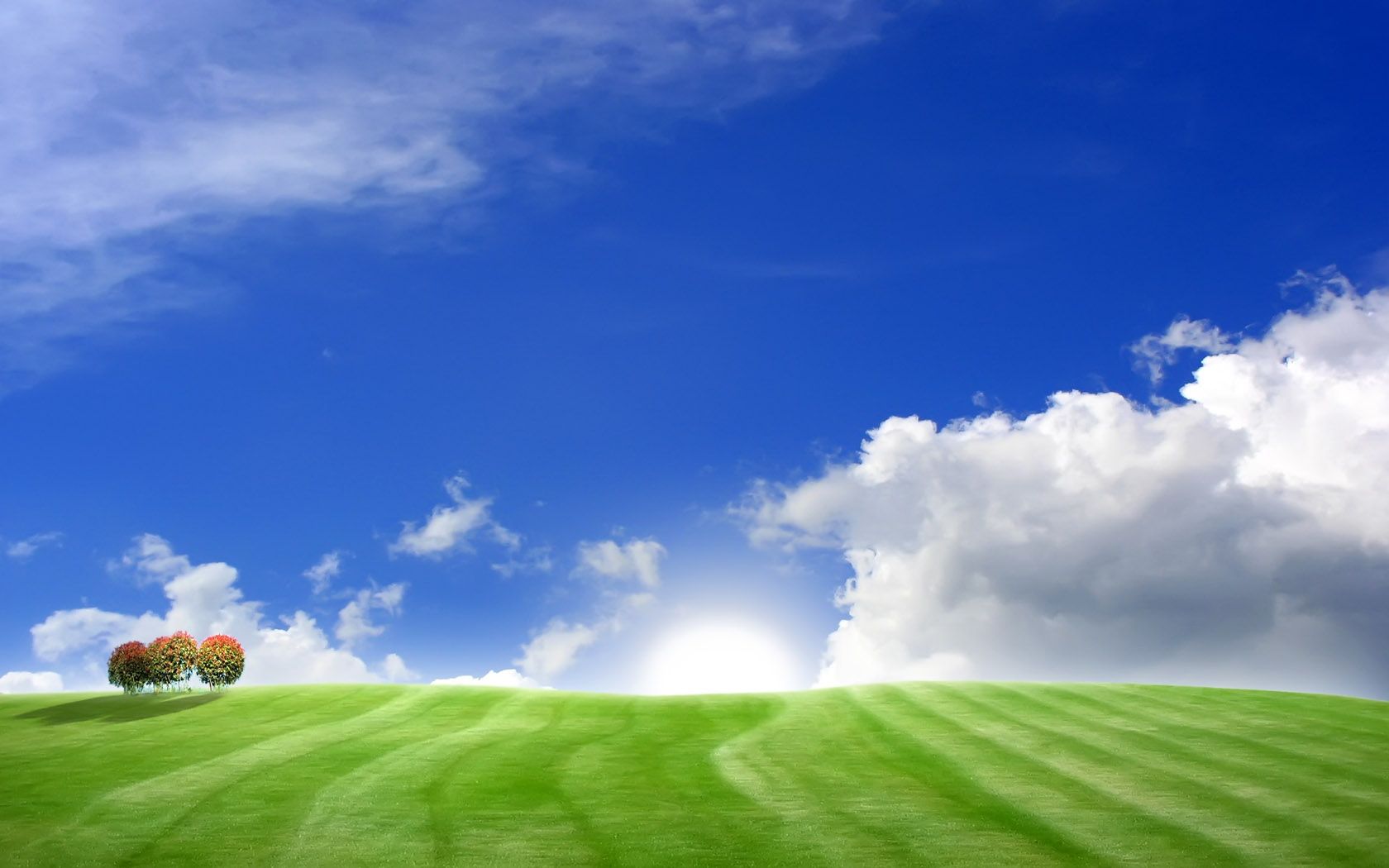 Prato verde e cielo azzurro, 1680x1050 900p, Desktop