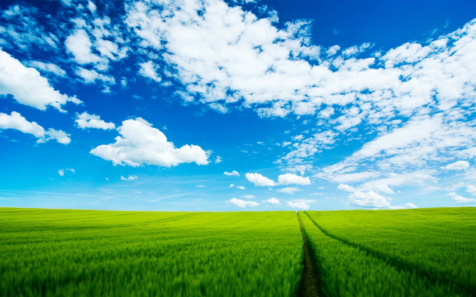 Campo verde e cielo nuvoloso, 1600x1000 HD Ready, PC
