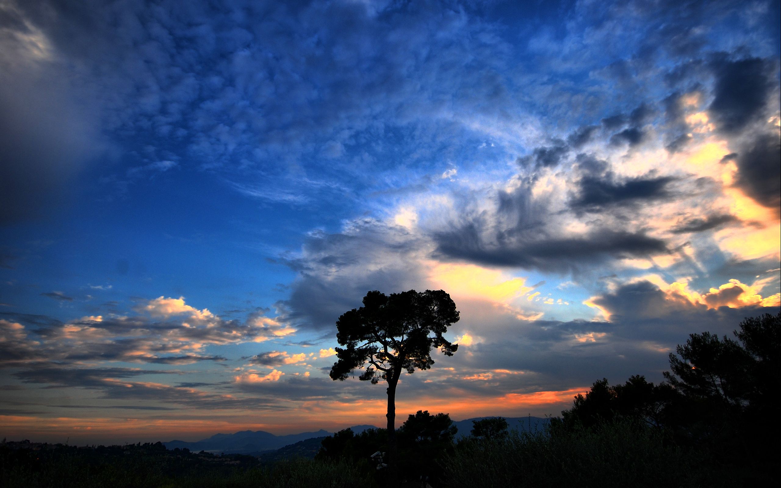 Cielo drammatico con albero silhouette, 2560x1600 WQXGA, MacBook Pro