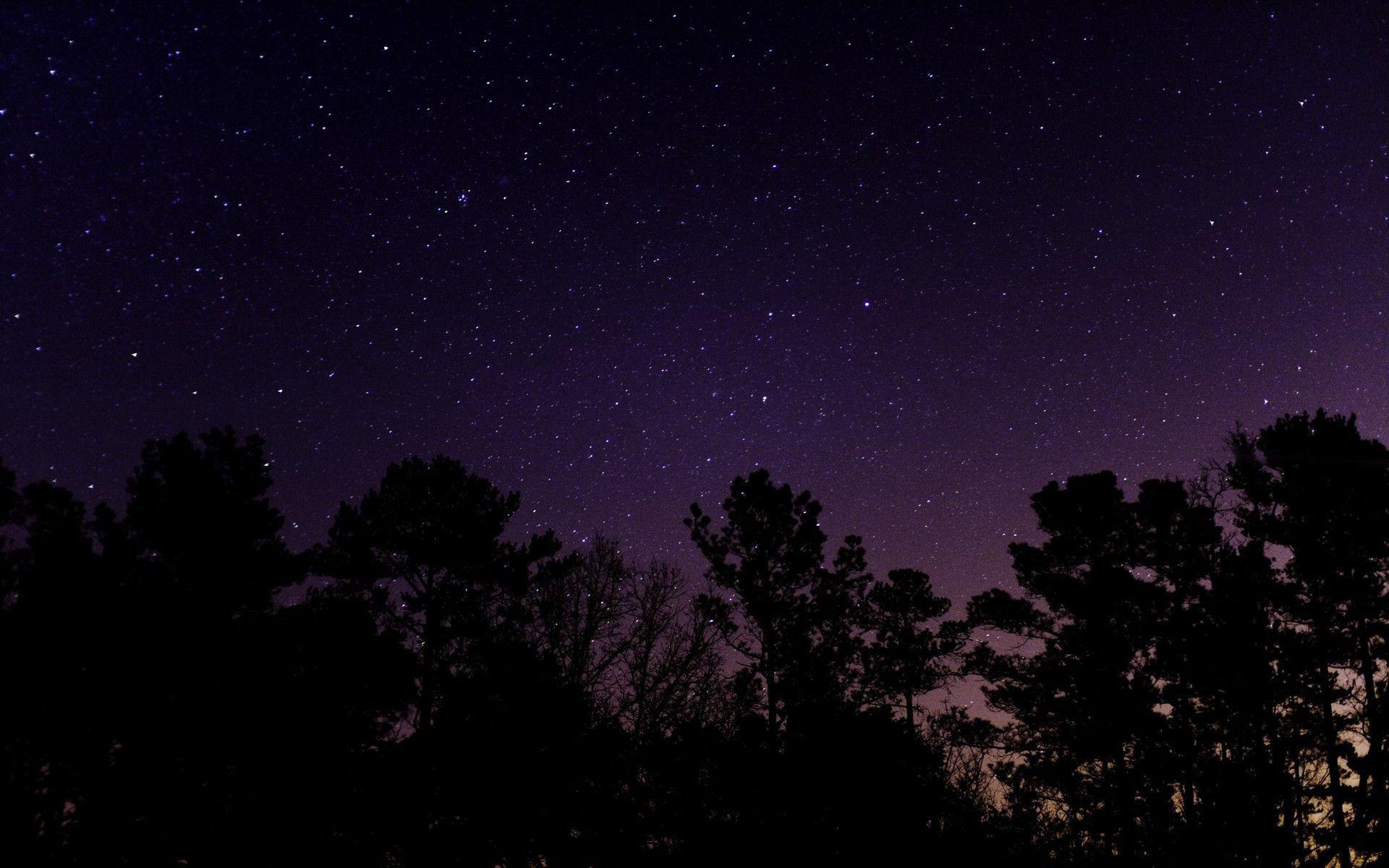Cielo stellato notturno con alberi, 1920x1200 WUXGA, Desktop