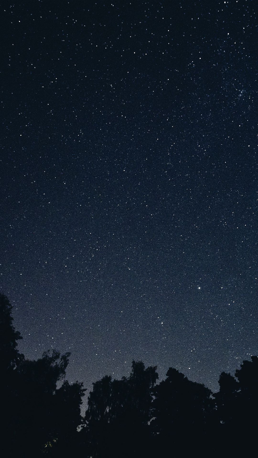 Cielo stellato notturno con alberi, 1080x1920 Verticale, Samsung Galaxy