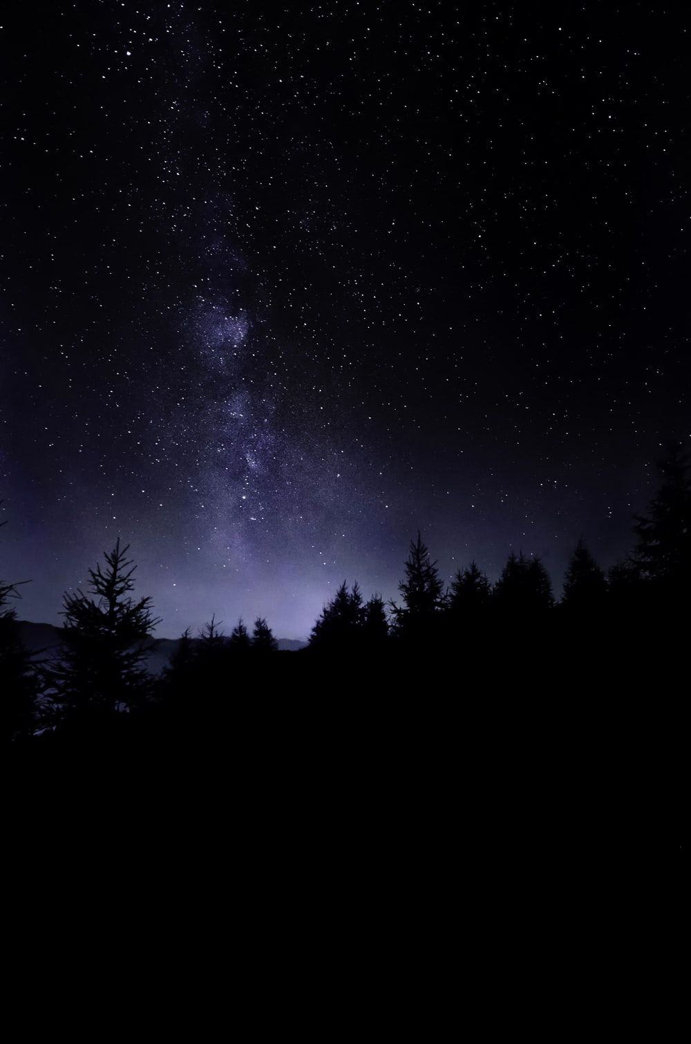 Cielo stellato notturno con alberi, 1000x1510 Full HD Verticale, iPhone