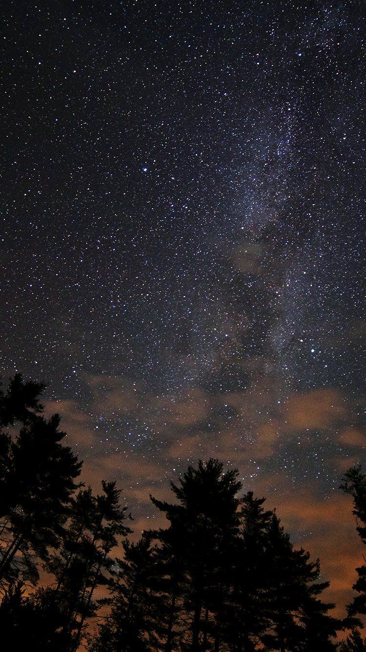 Cielo stellato con alberi, 750x1334 Full HD Verticale, iPhone