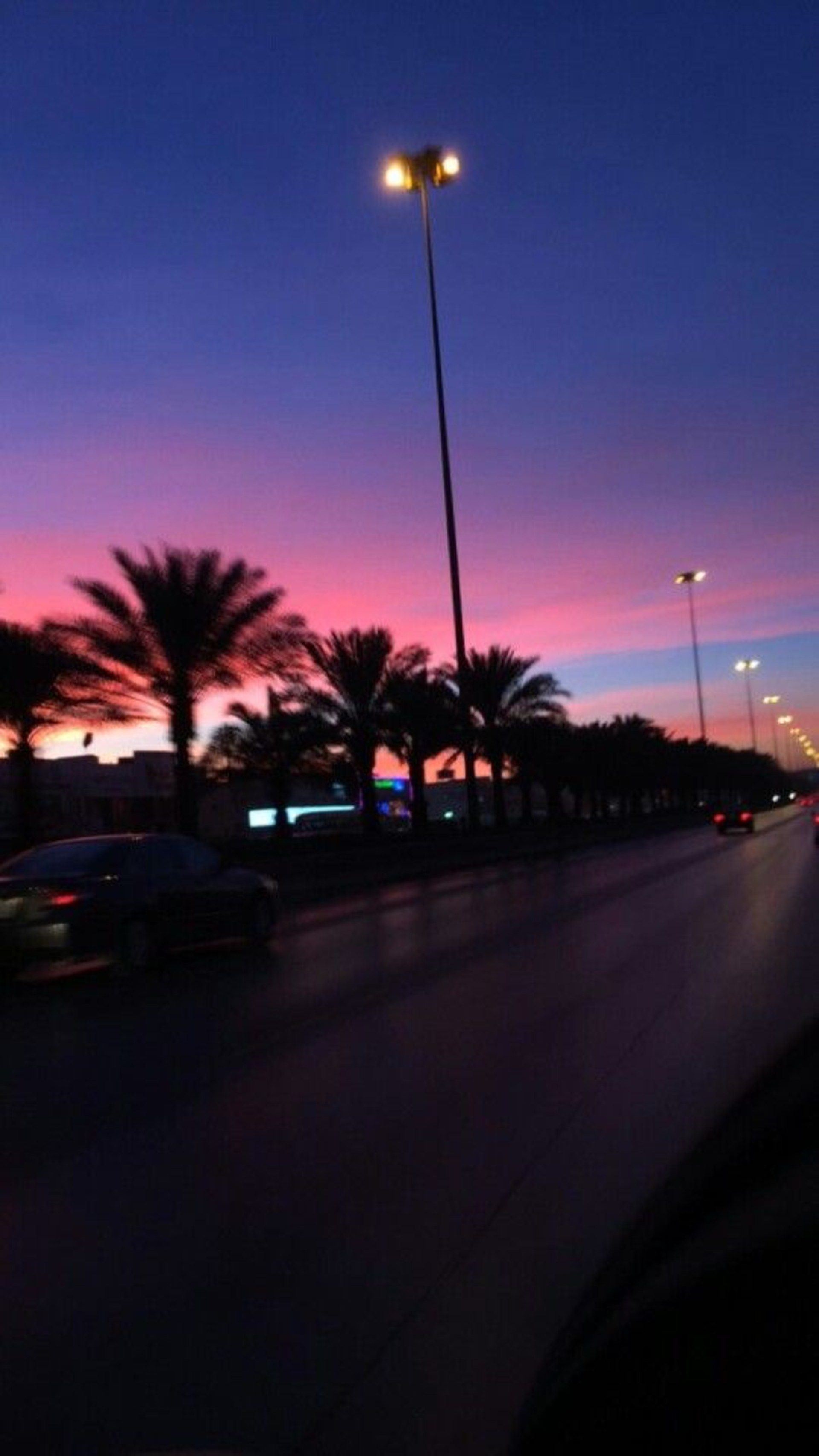 Cielo al tramonto con palme, 1920x3413 Verticale, Mobile