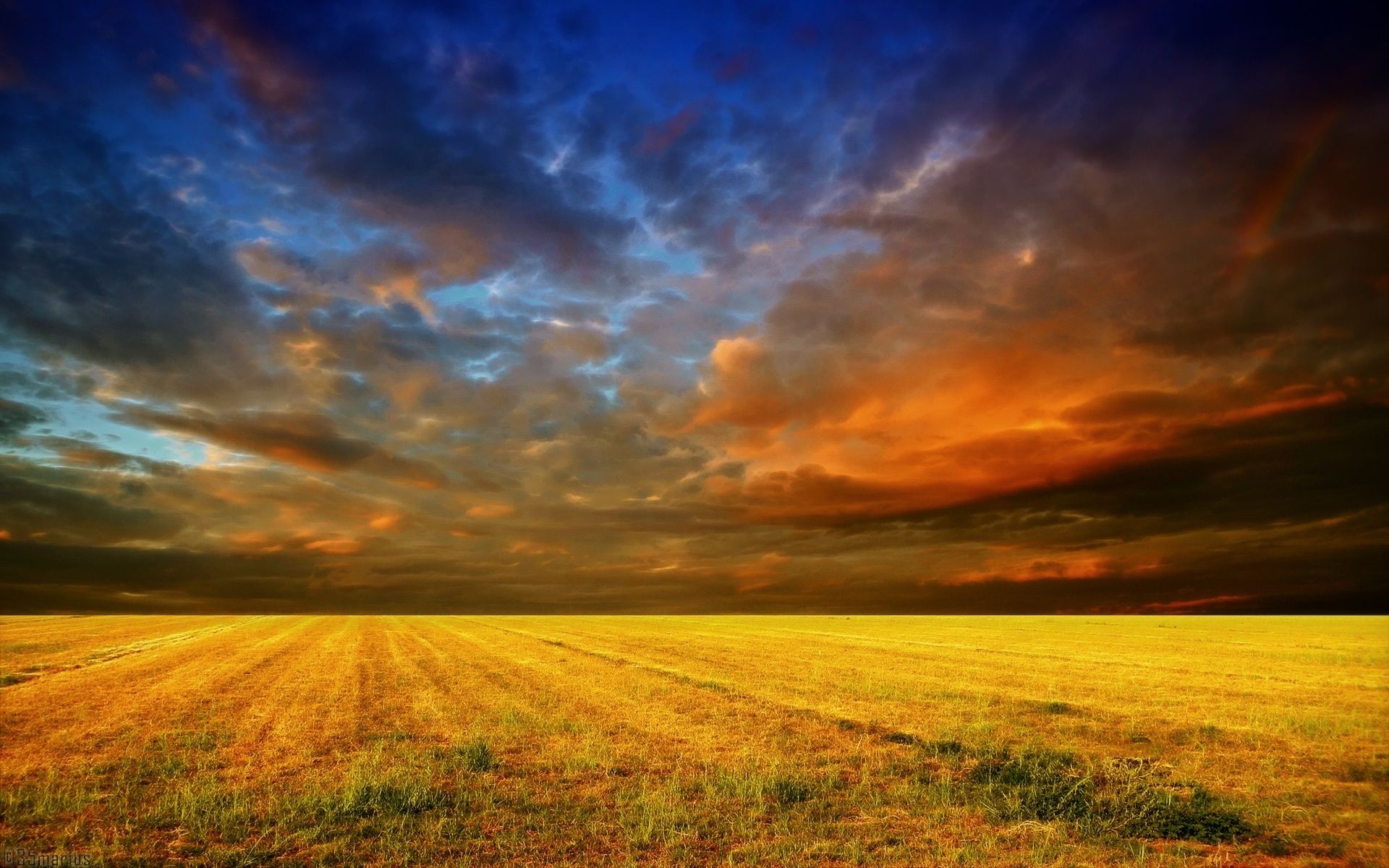 Campo giallo con cielo drammatico, 1920x1200 WUXGA, PC Desktop