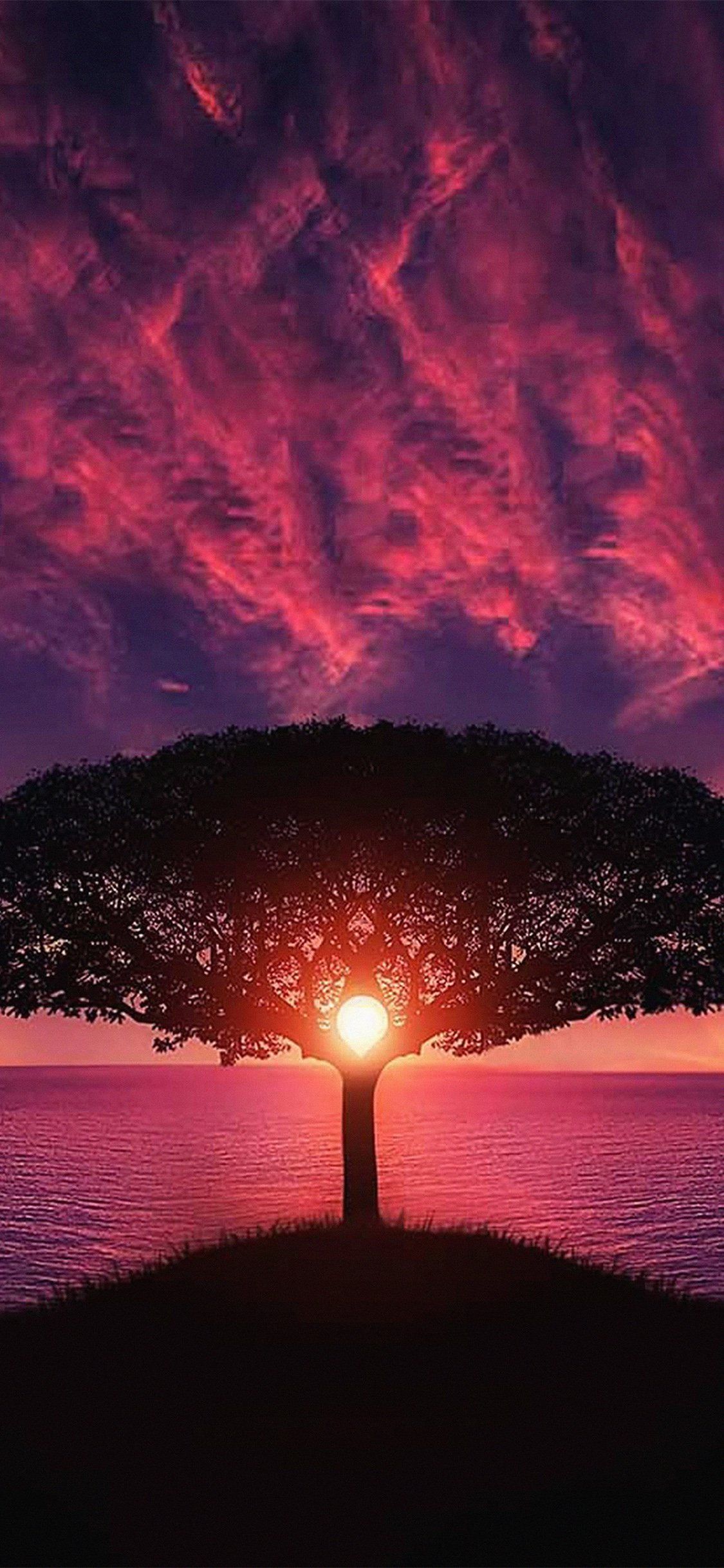 Albero silhouette mare tramonto, 1125x2436 Verticale, iPhone Air