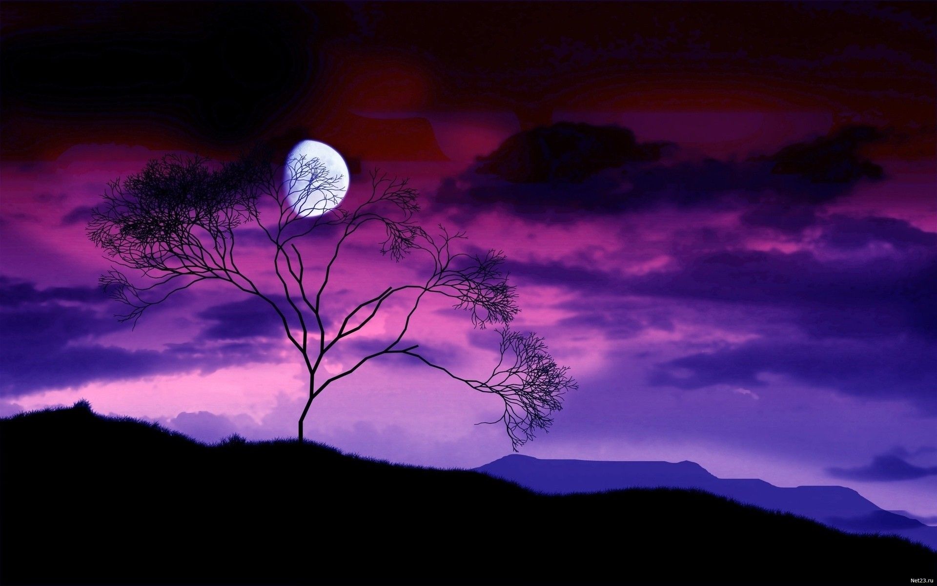 Cielo viola con luna e albero, 1920x1200 Full HD+ WUXGA, Laptop