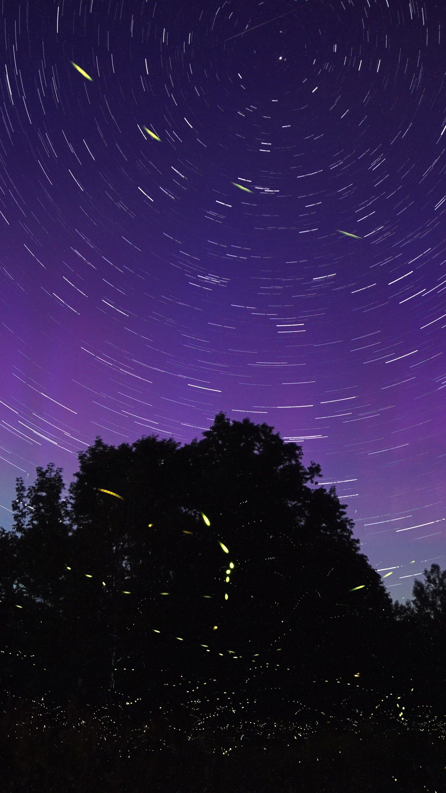 Cielo viola scie stellari, 1440x2560 Full HD Verticale, iPhone Air