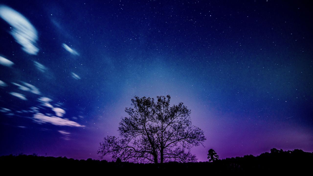 Albero silhouette cielo viola stellato, 1280x720 720p, PC
