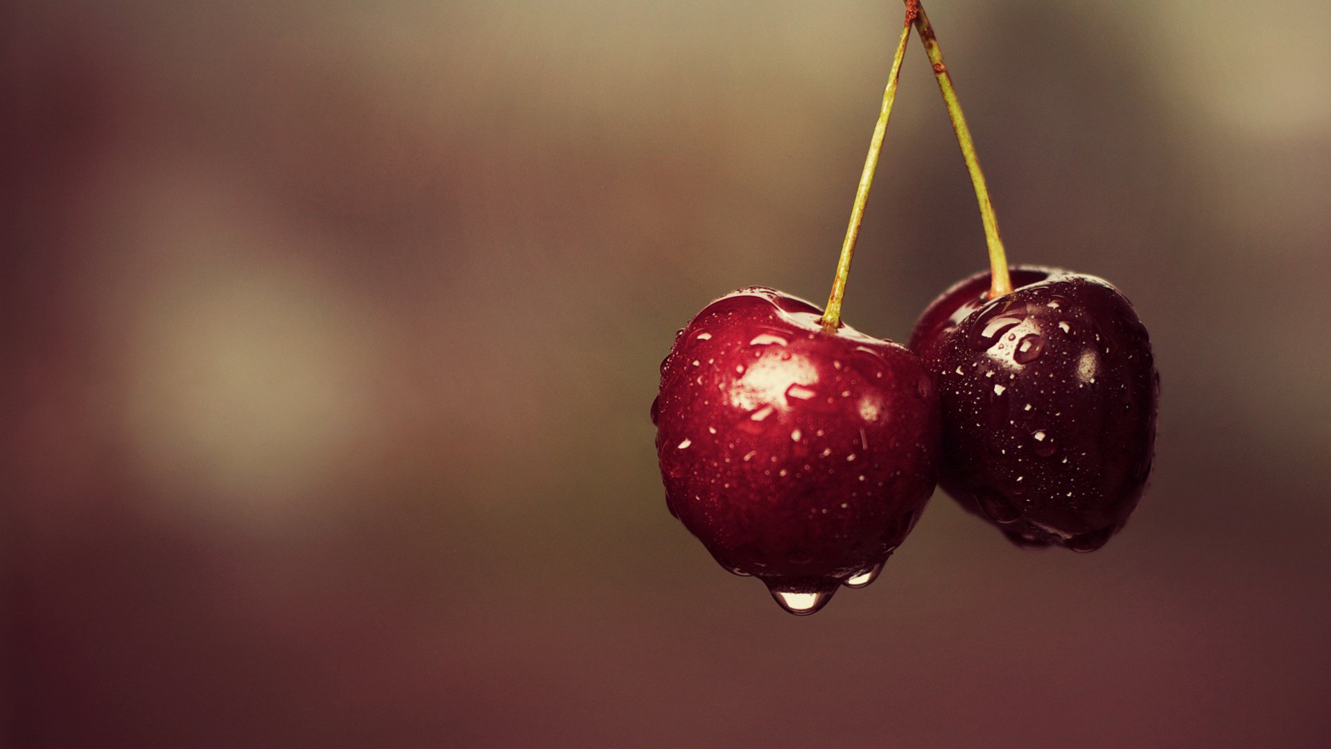 Ciliegie appese con gocce, 1920x1080 Full HD 1080p, PC