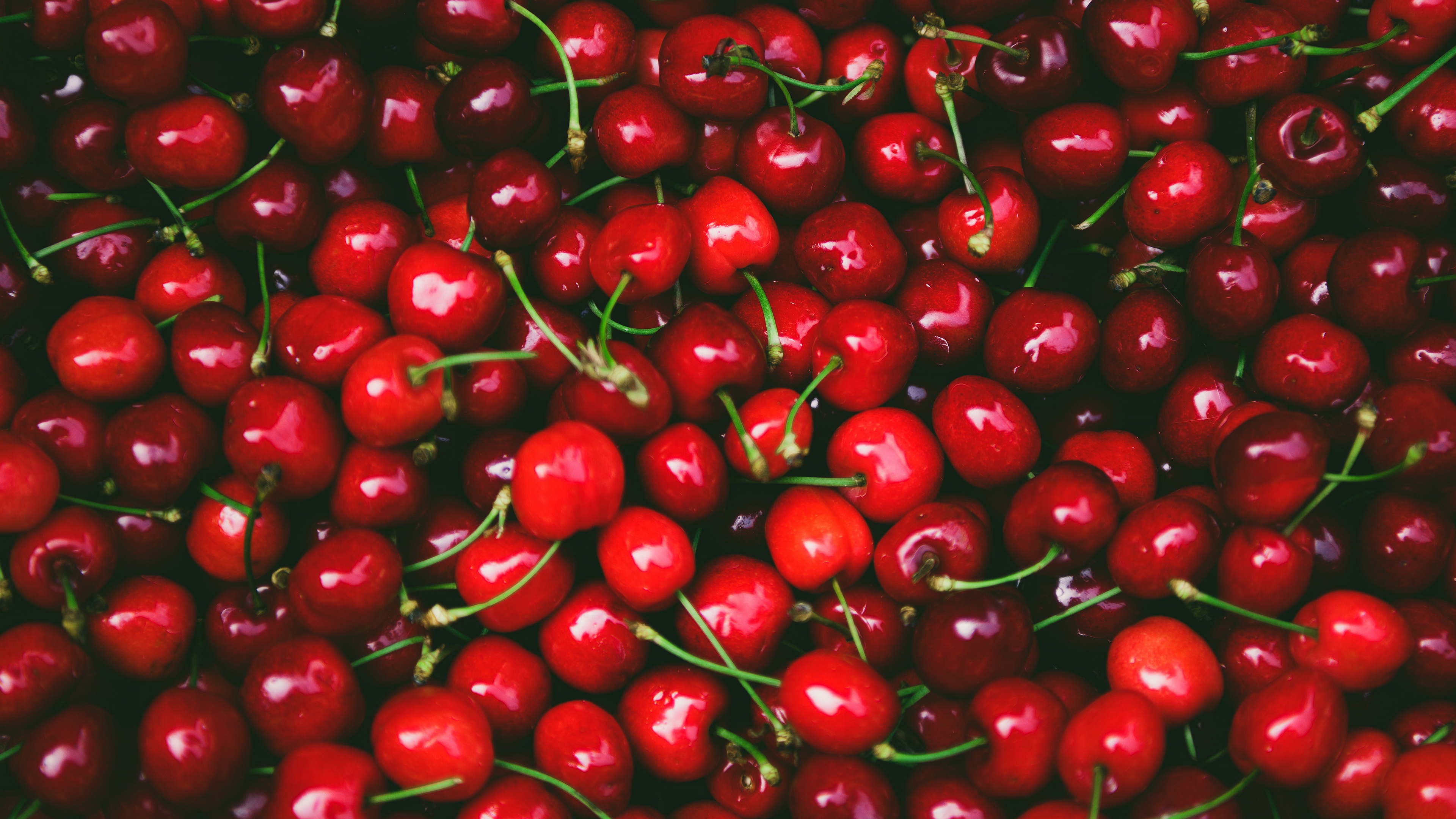Ciliegie rosse con gambi, 3840x2160 4K, Desktop 4K