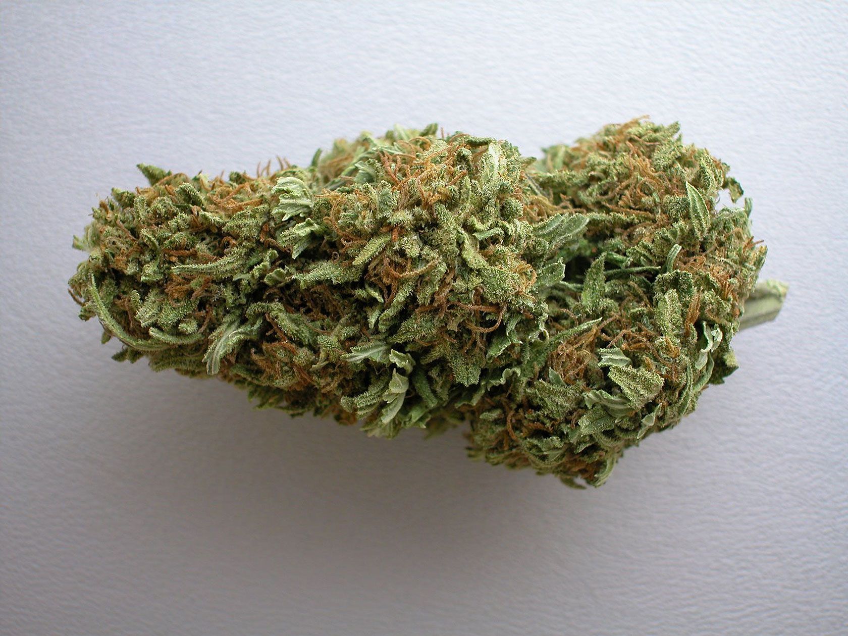 Cima di marijuana verde, 1680x1260 HD Ready, PC
