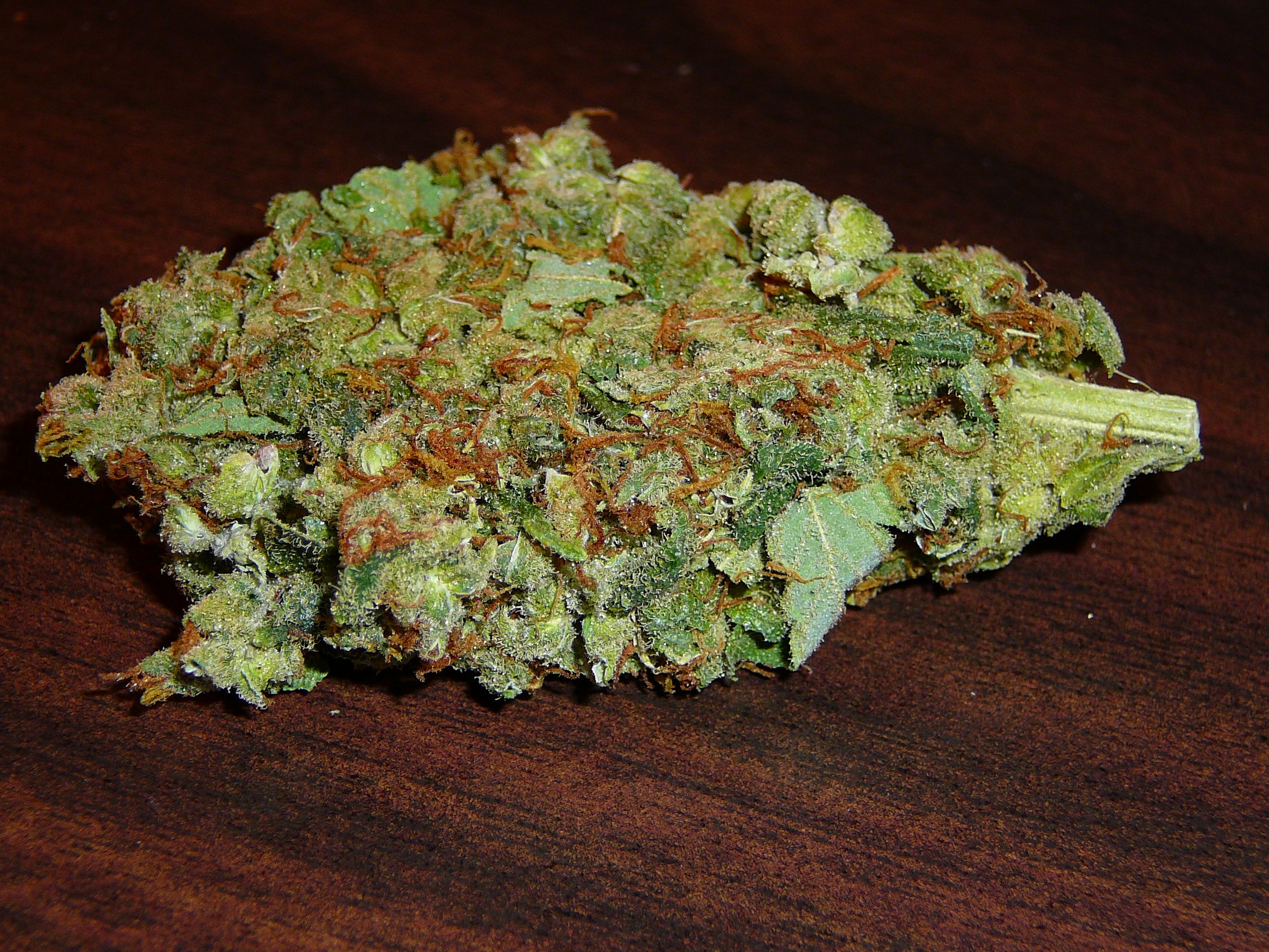 Cima di marijuana verde, 2560x1920 WQXGA, Desktop