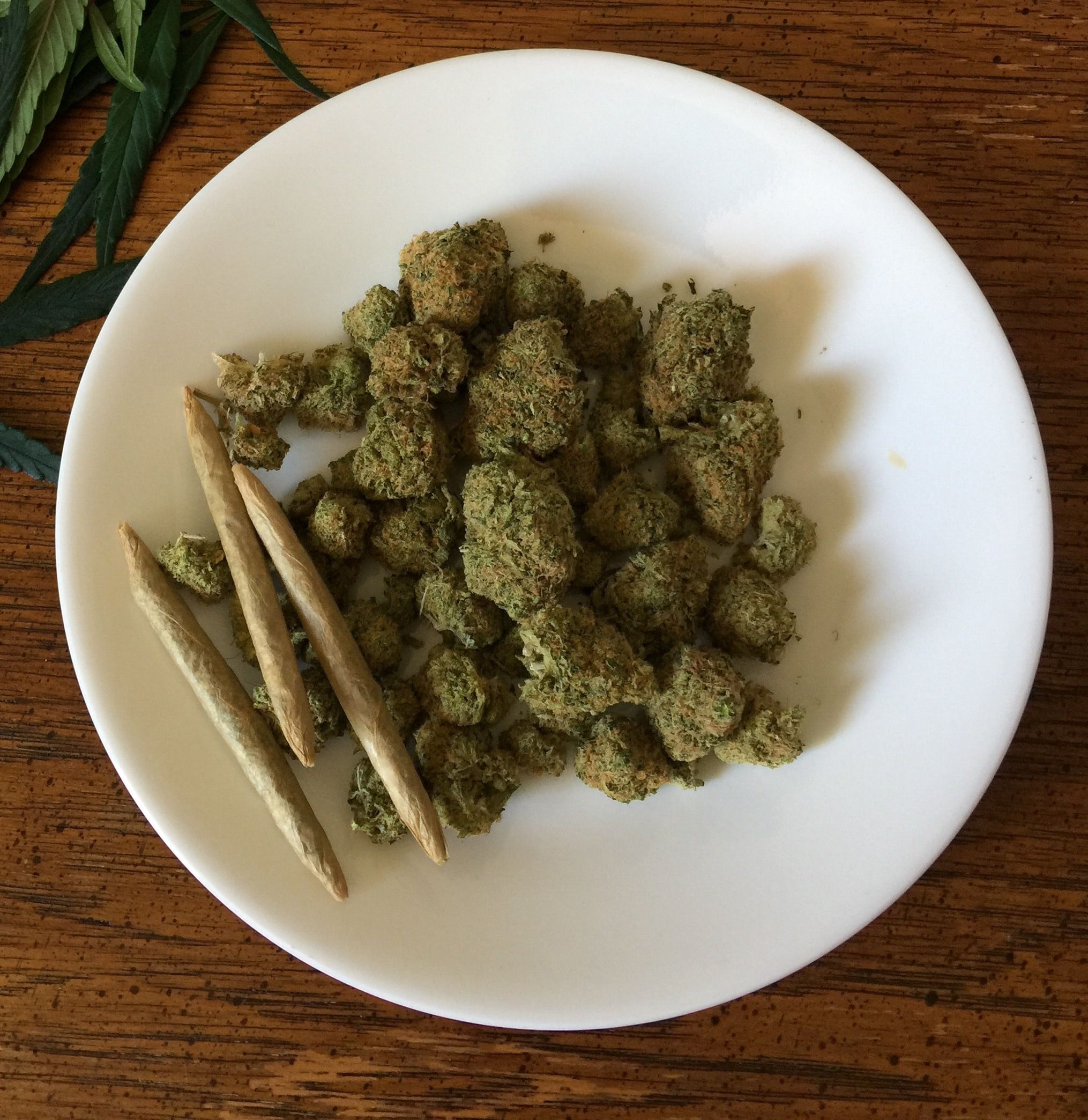 Cime di marijuana su piatto, 2030x2088 Verticale, Telefono