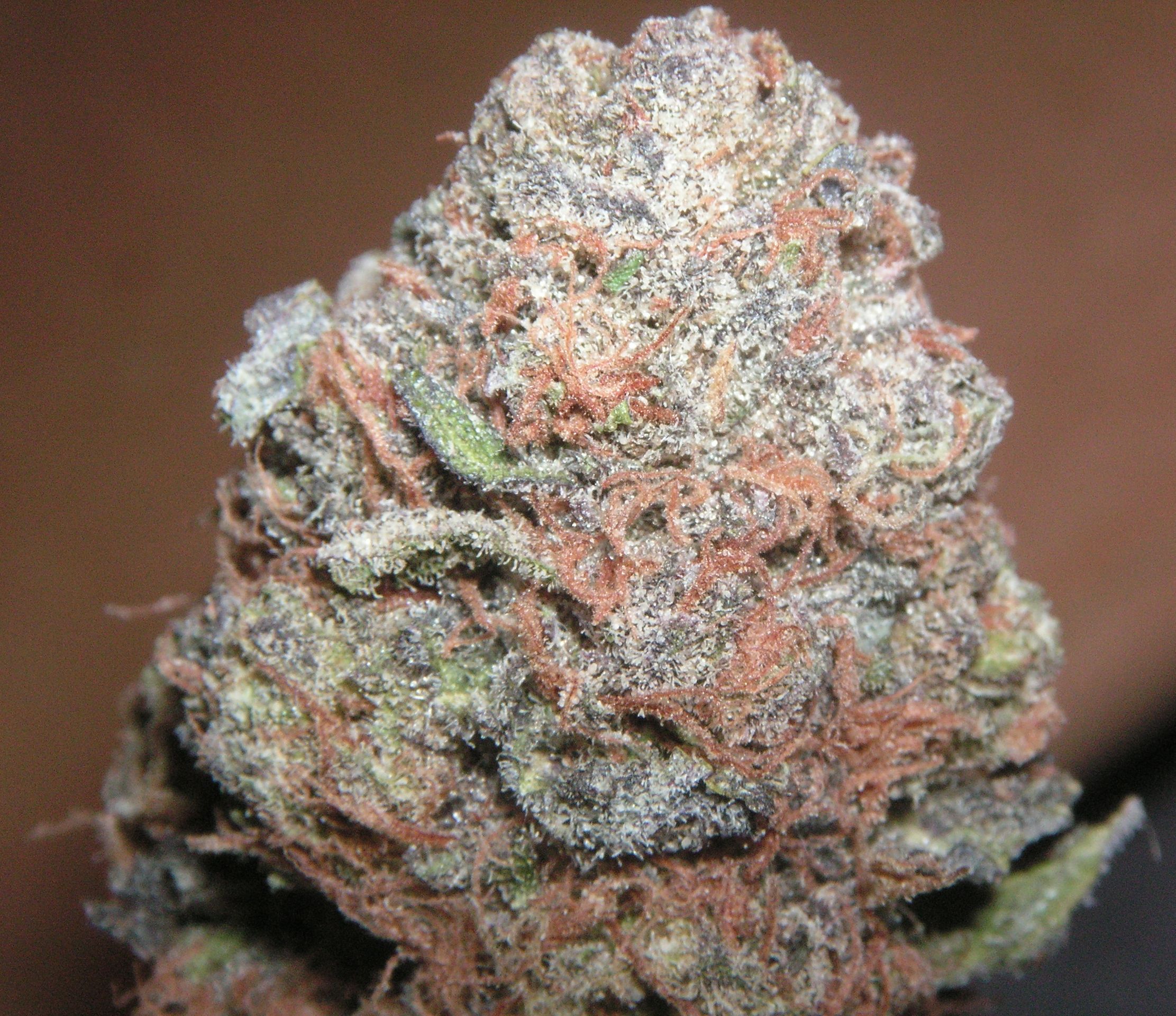 Cima di marijuana macro, 2223x1920 alta risoluzione, iMac