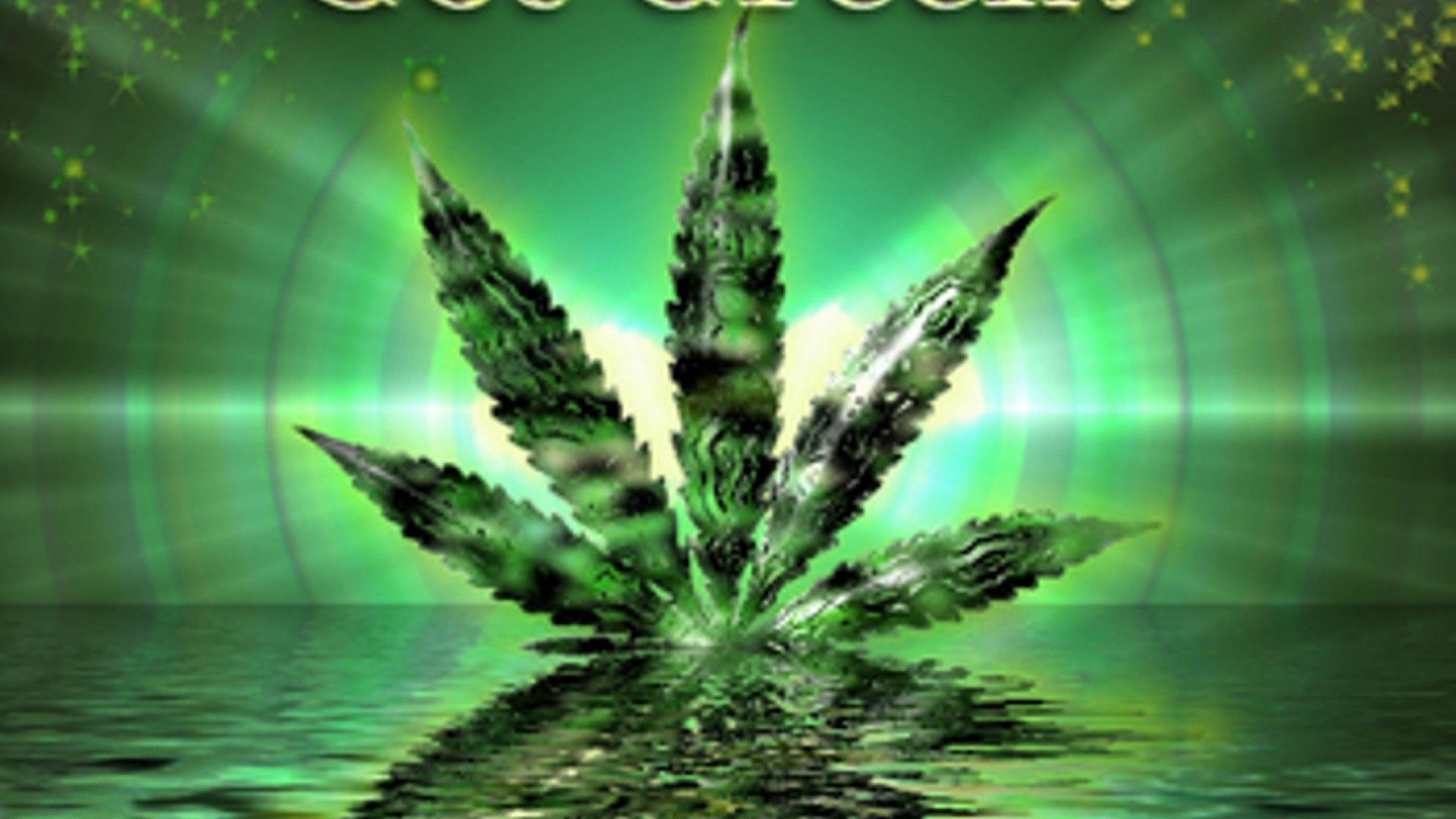 Foglia di marijuana verde riflessa, 1920x1080 Full HD, PC