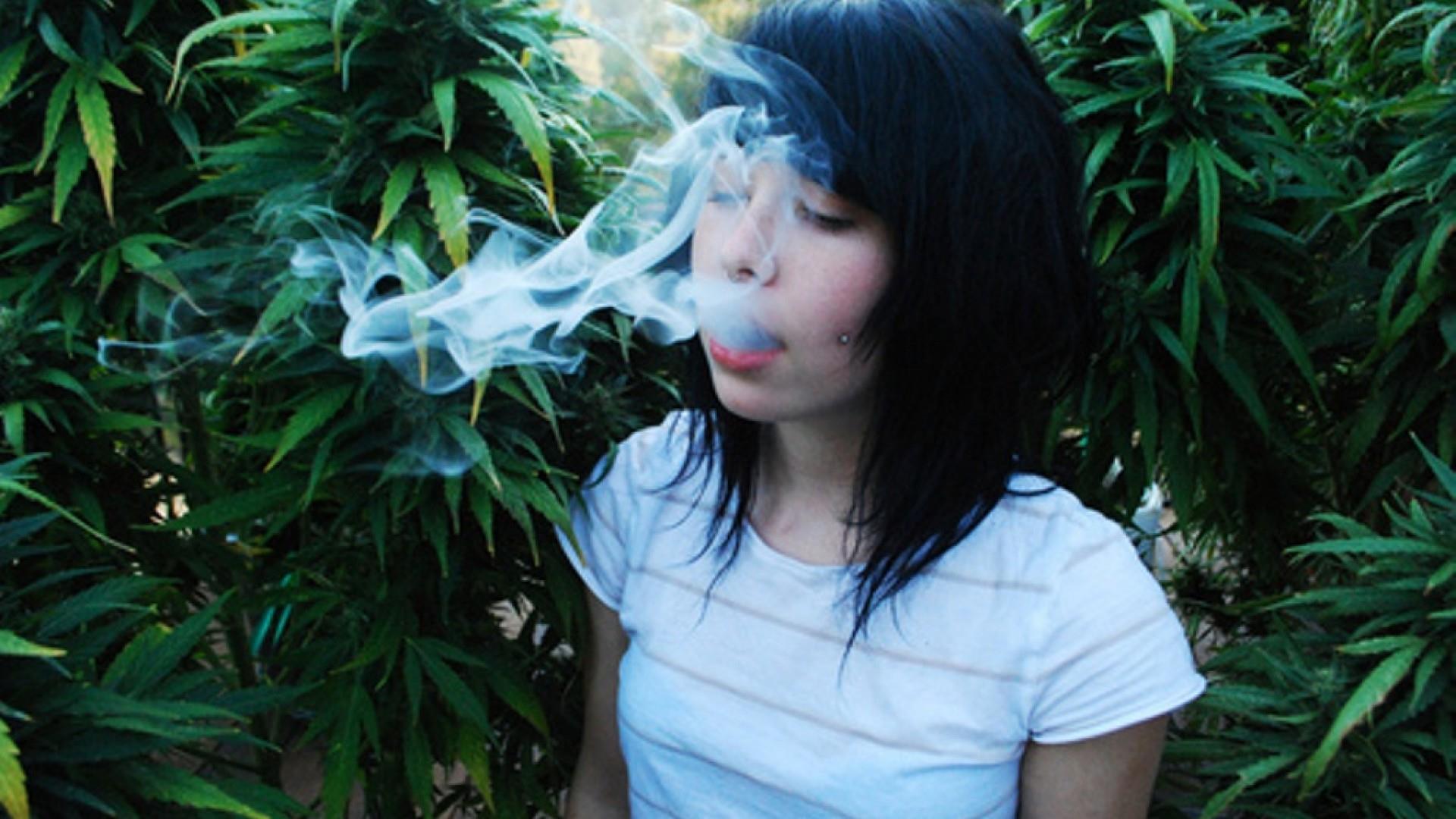 Cime di marijuana viola scuro, 1680x1050 HD, Laptop