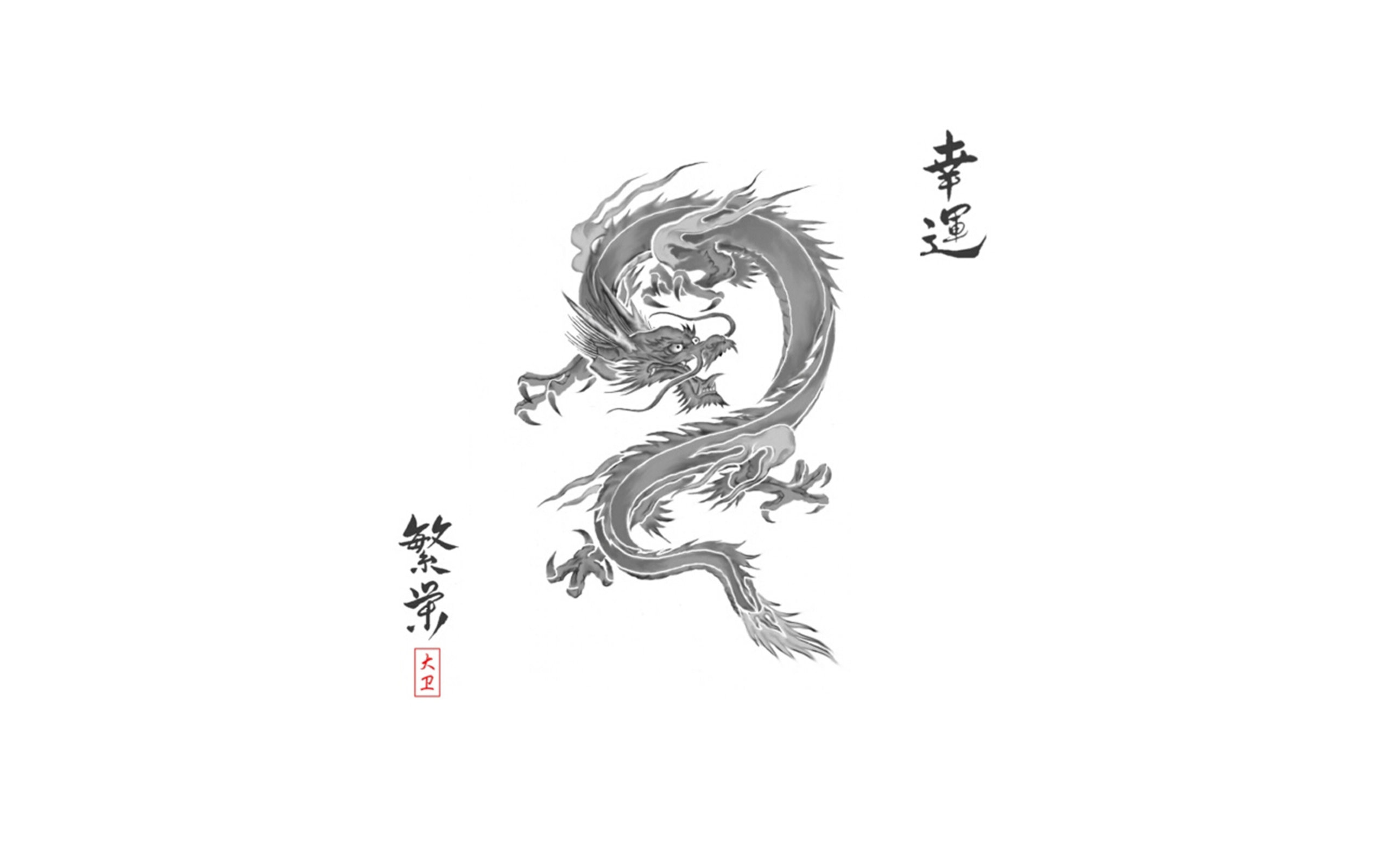 Drago inchiostro fondo bianco calligrafia, 2560x1600 2K, PC