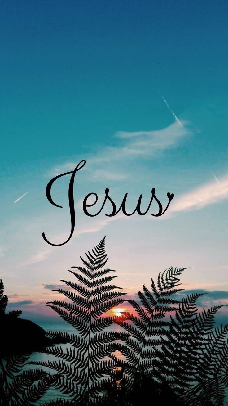 Scritta Jesus tramonto felci, 736x1308 Verticale, OnePlus
