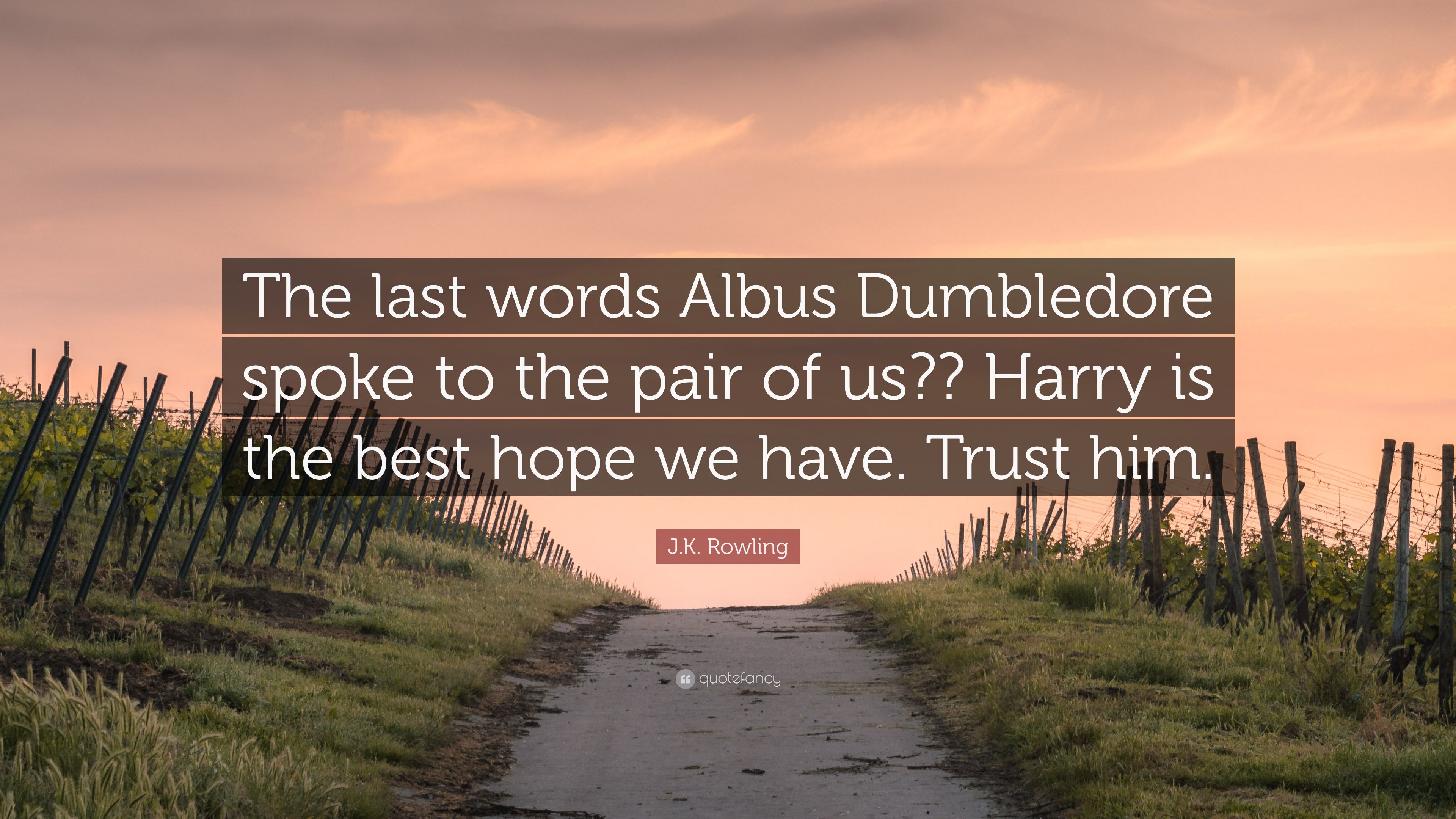 Citazione lavagna Harry Potter, mondo magico, 736x1227 Verticale, Mobile