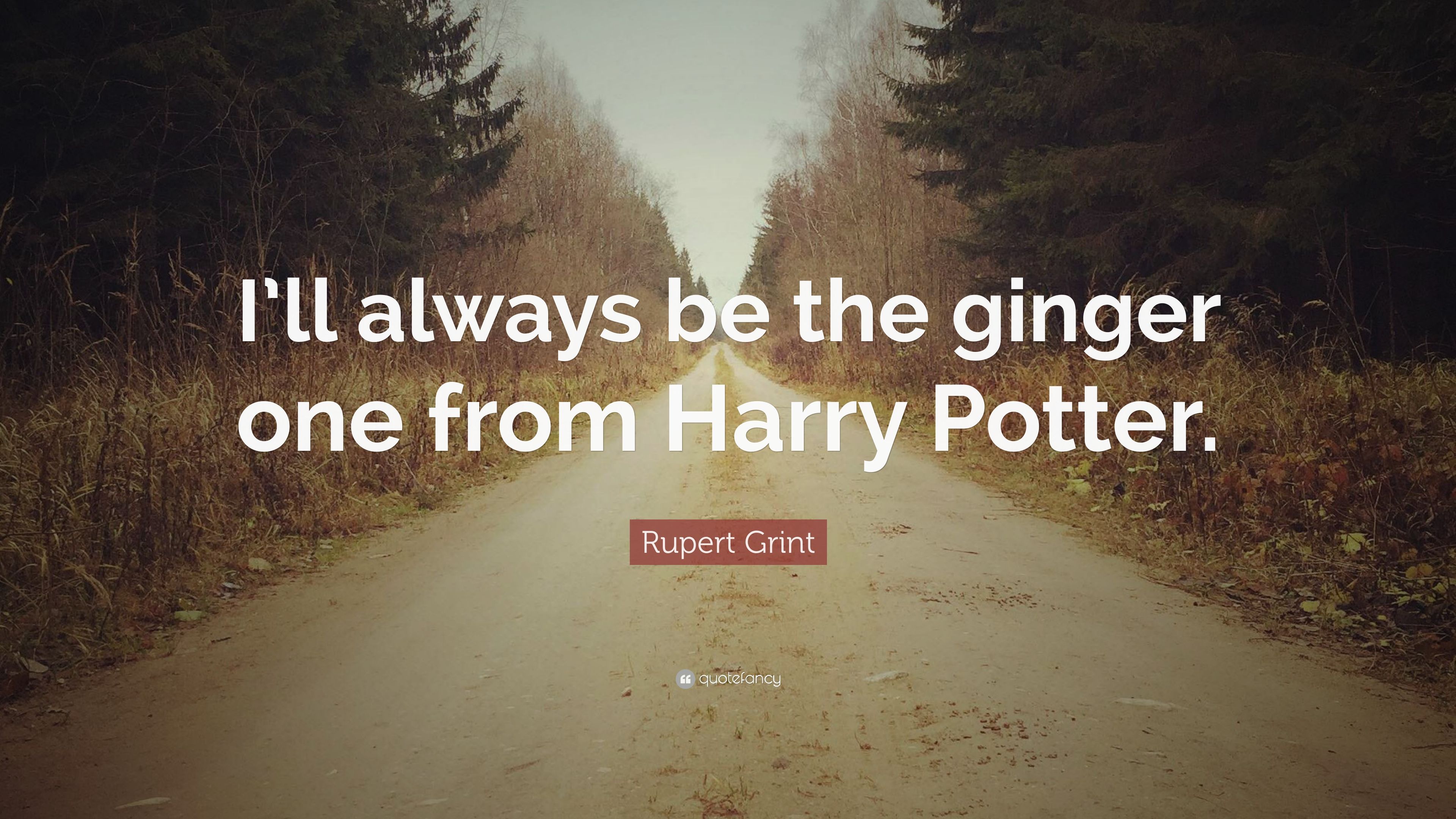 Citazione Harry Potter lampadina, 3840x2160 4K Ultra HD, Monitor 4K