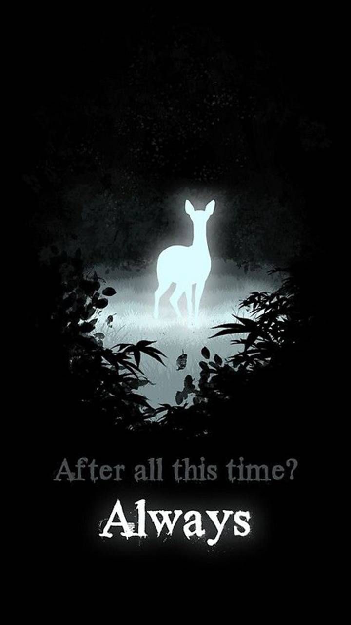 Cervo luminoso Harry Potter citazione, mondo magico, 720x1280 Verticale, Telefono