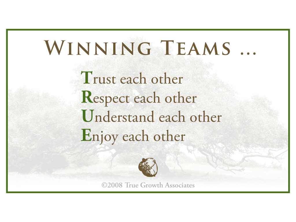 Citazione Winning Teams TRUE, 1024x768 HD, Monitor Gaming