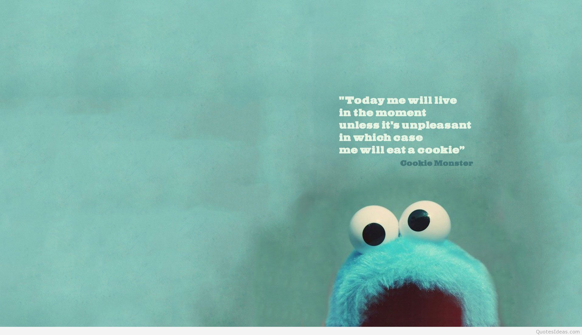 Cookie Monster citazione divertente, 1920x1107 1080p, PC