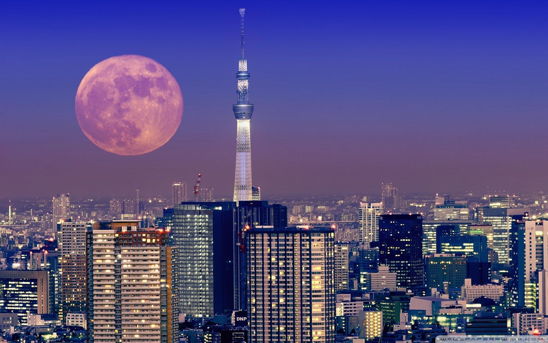 Tokyo Skytree luna piena, 1920x1200 Full HD+ WUXGA, PC