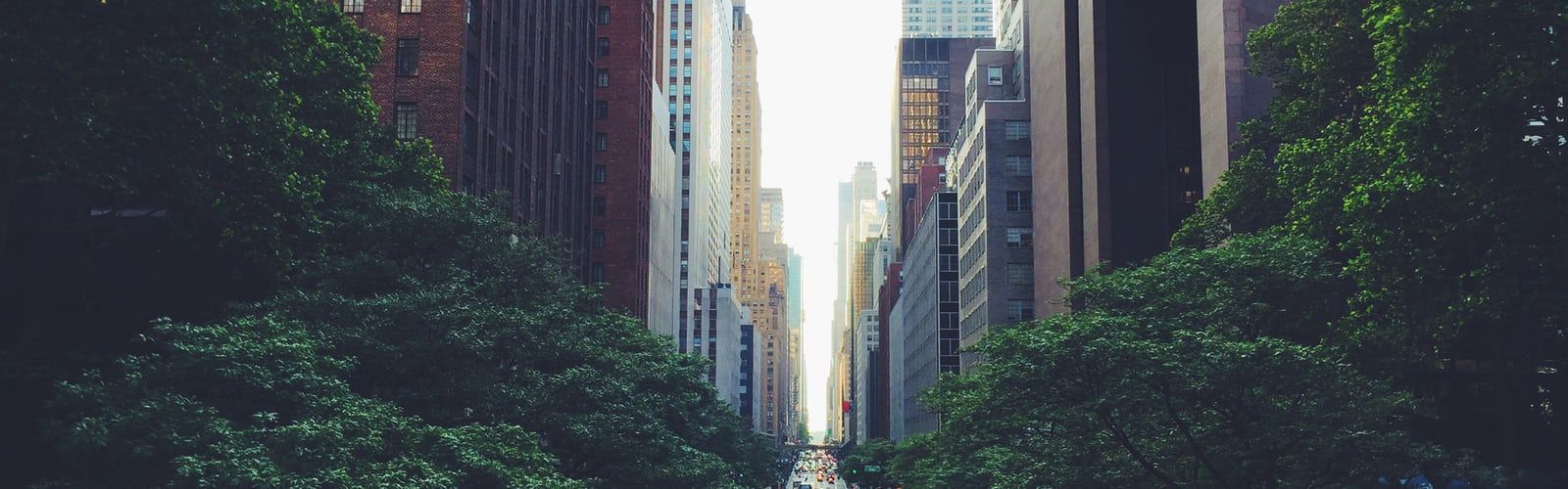 Alberi verdi tra grattacieli New York, 1600x500 21:9, PC Desktop