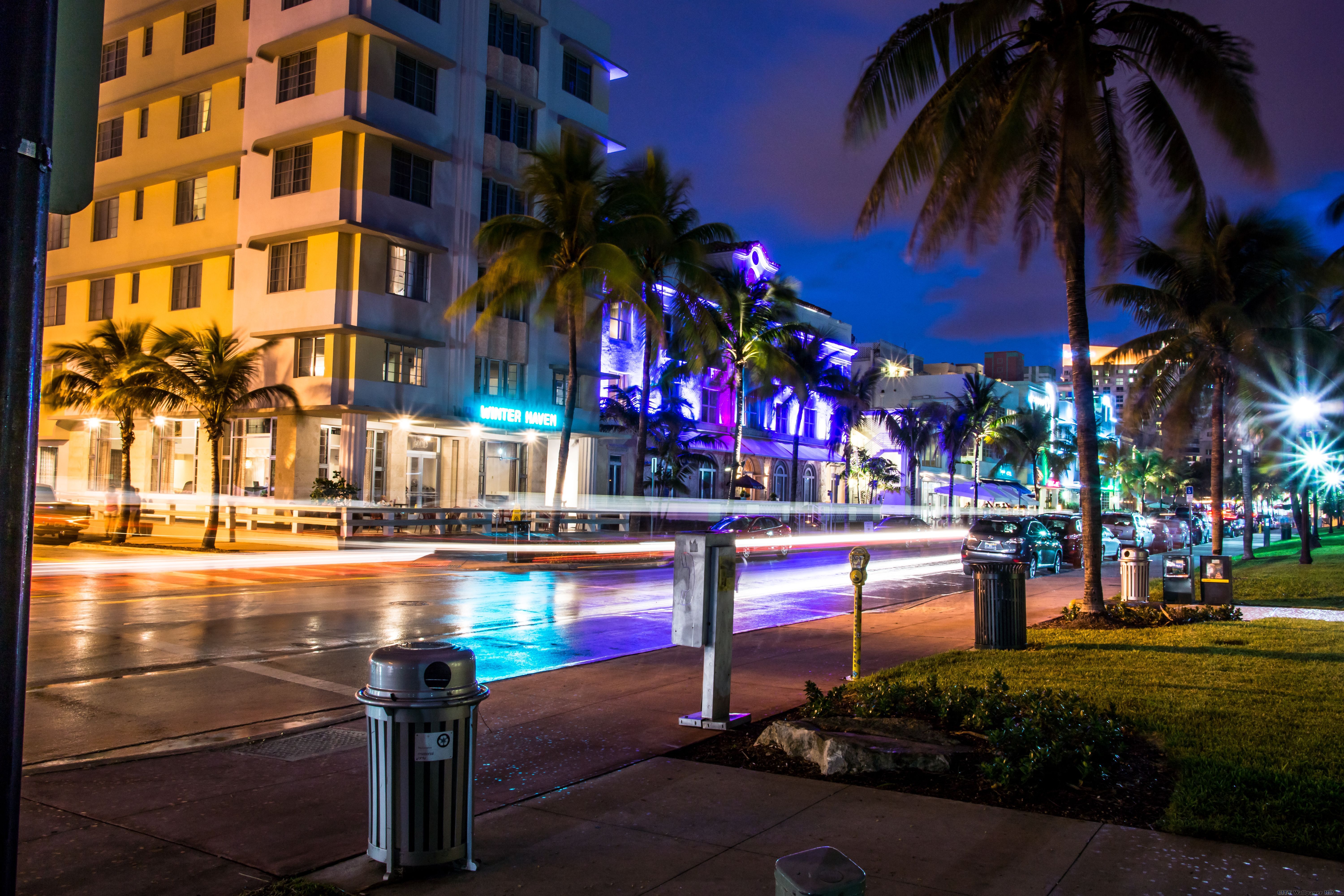 Strada notturna Miami con palme, 6000x4000 4K, Smart TV 4K