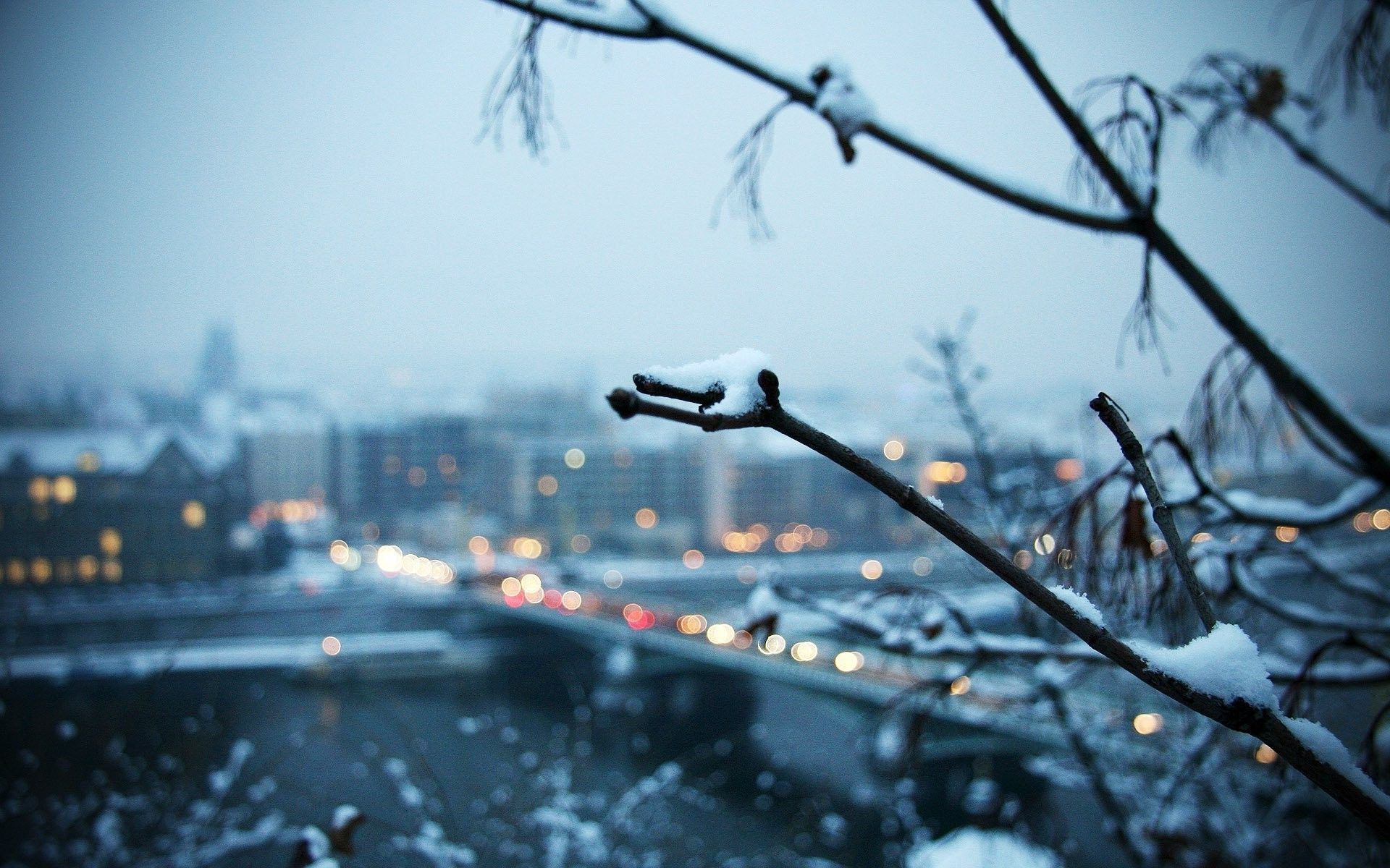 Rami innevati su città sfocata, 1920x1200 Full HD+, Laptop